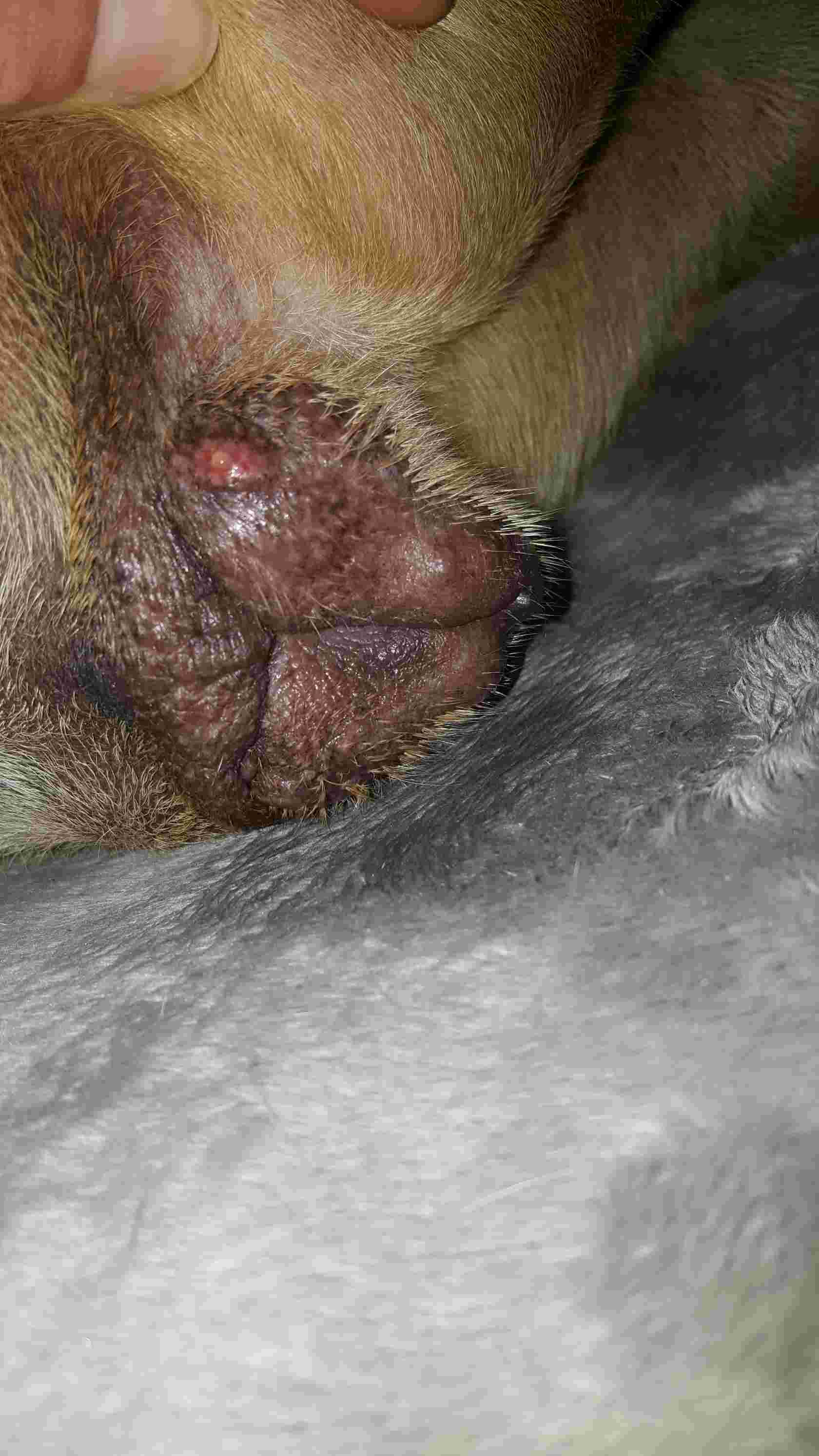 Question details sensitive content