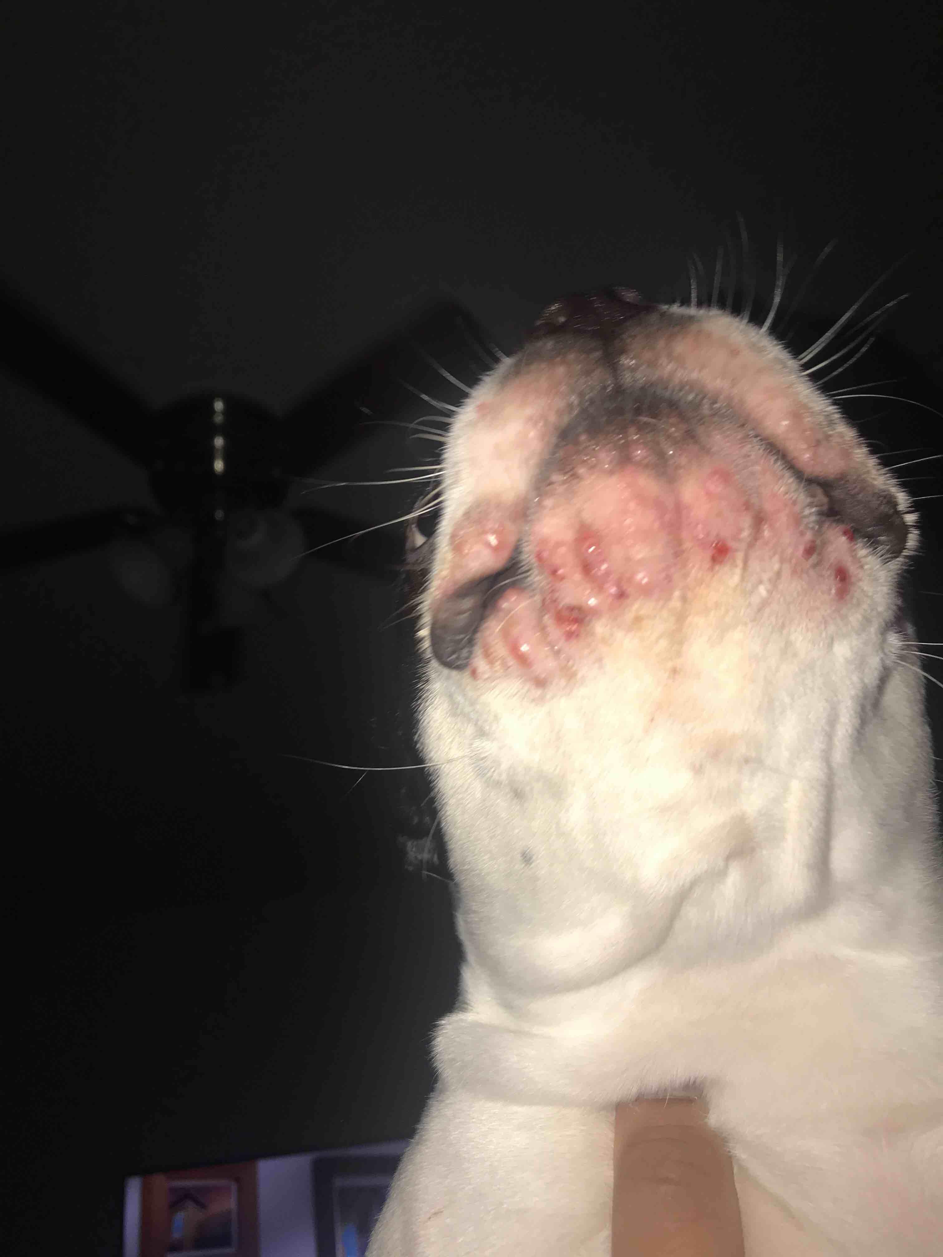 Question details sensitive content