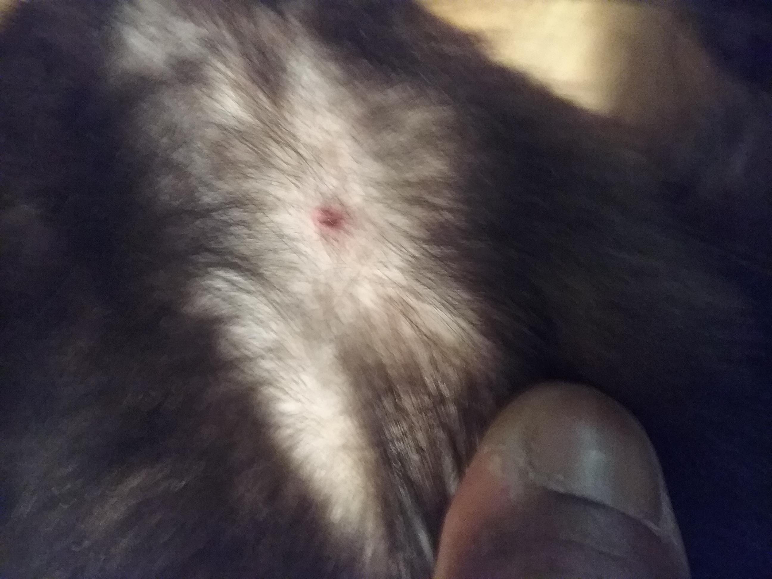 Question details sensitive content