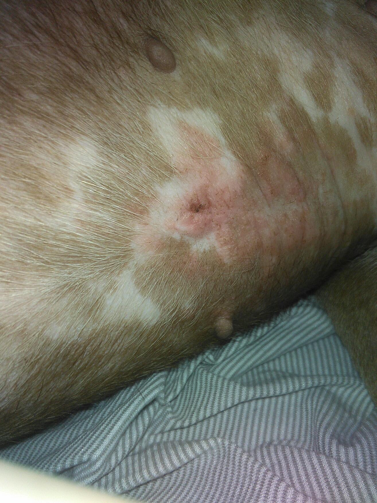 Question details sensitive content