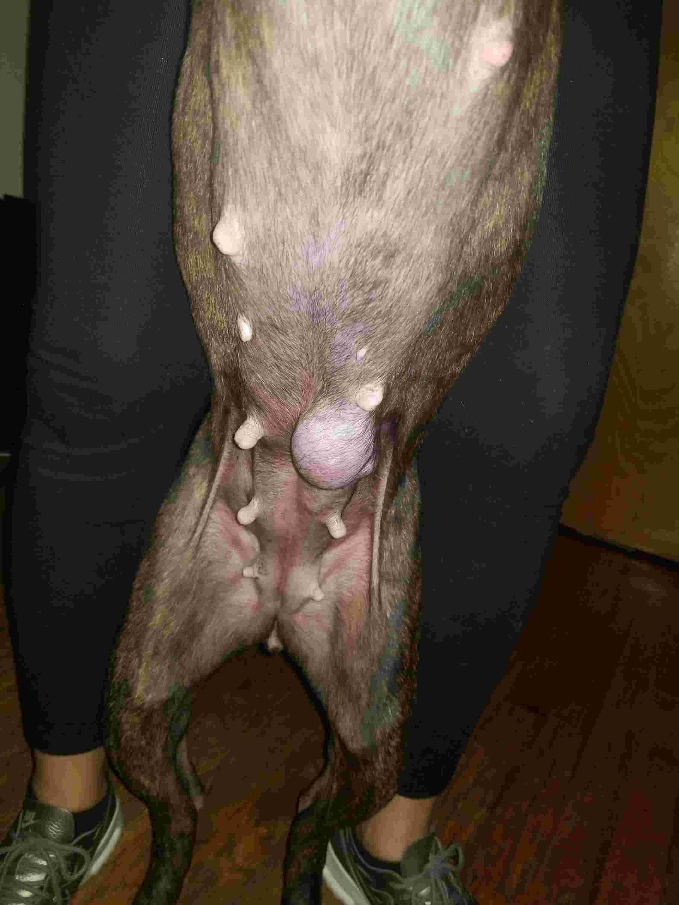 Question details sensitive content