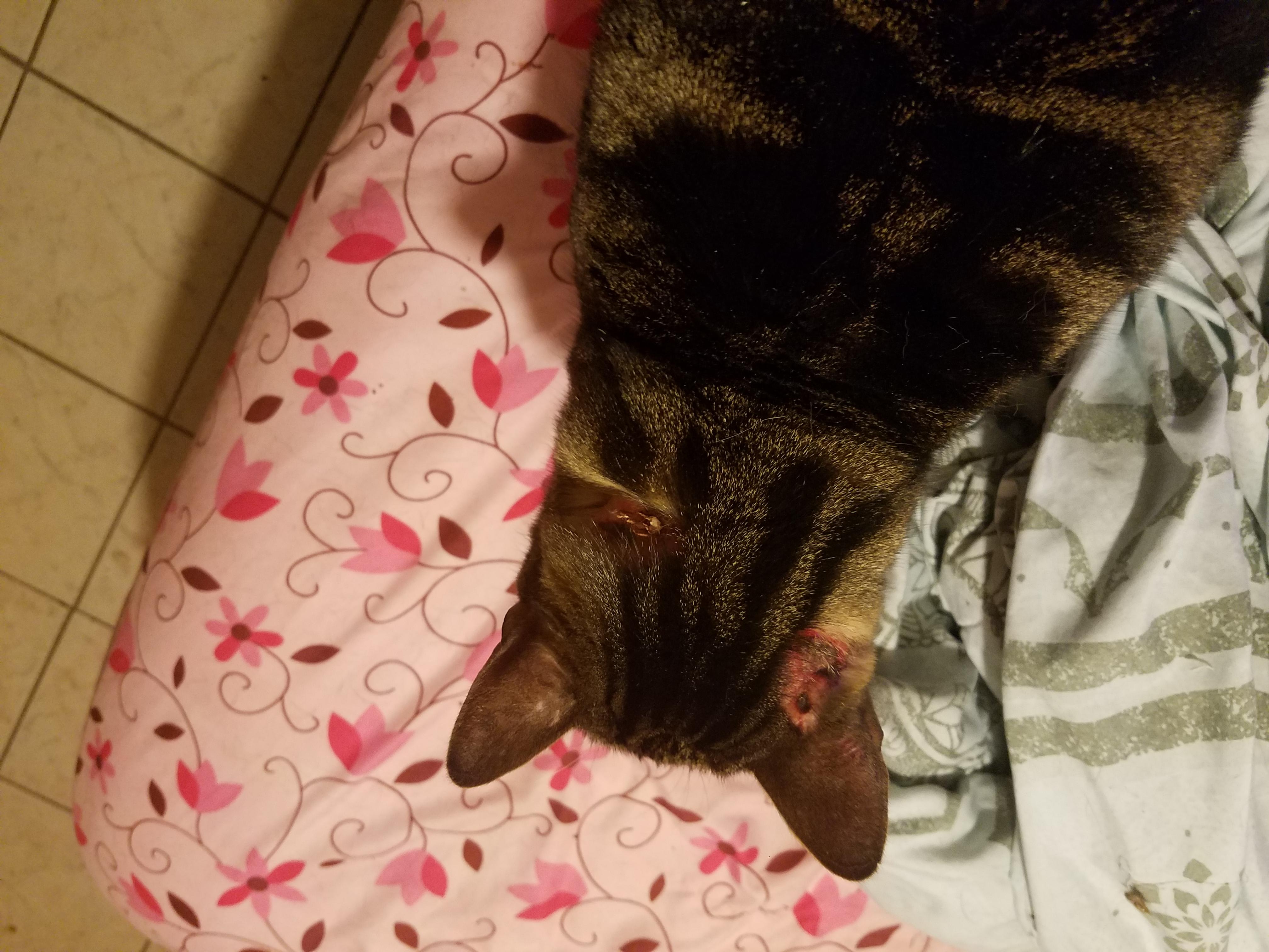 Question details sensitive content