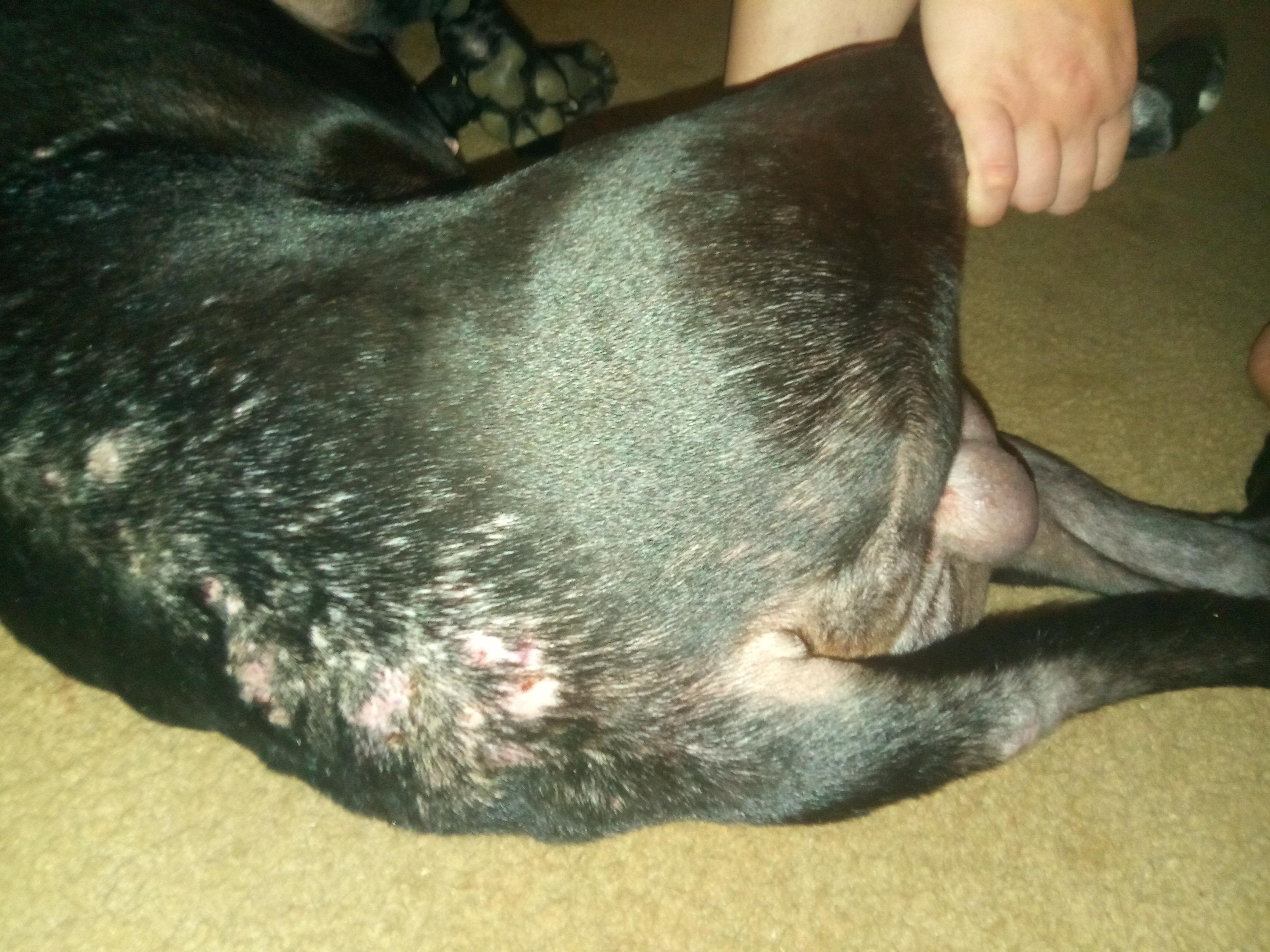 Question details sensitive content