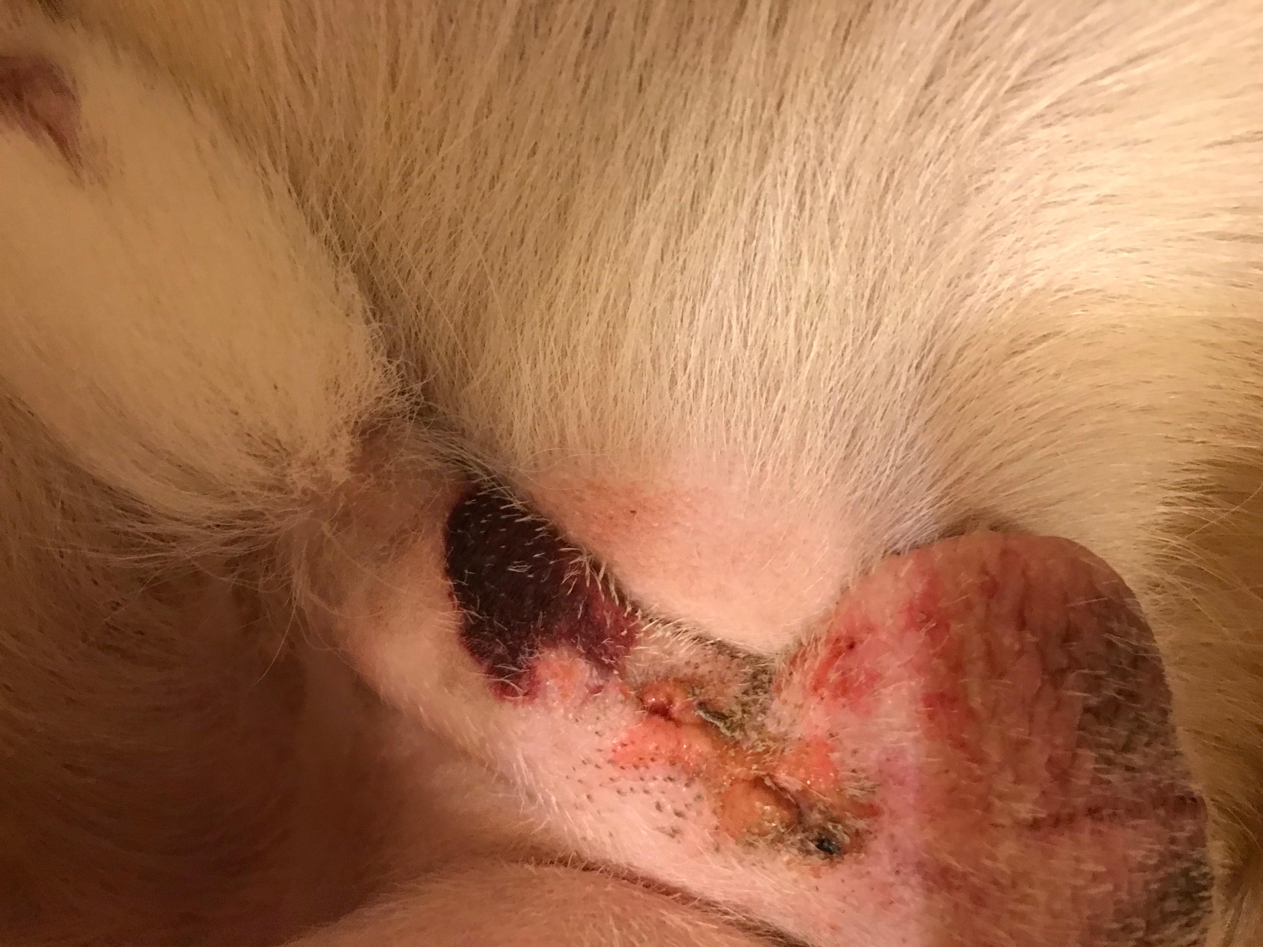 Question details sensitive content