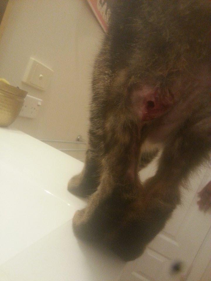 Question details sensitive content