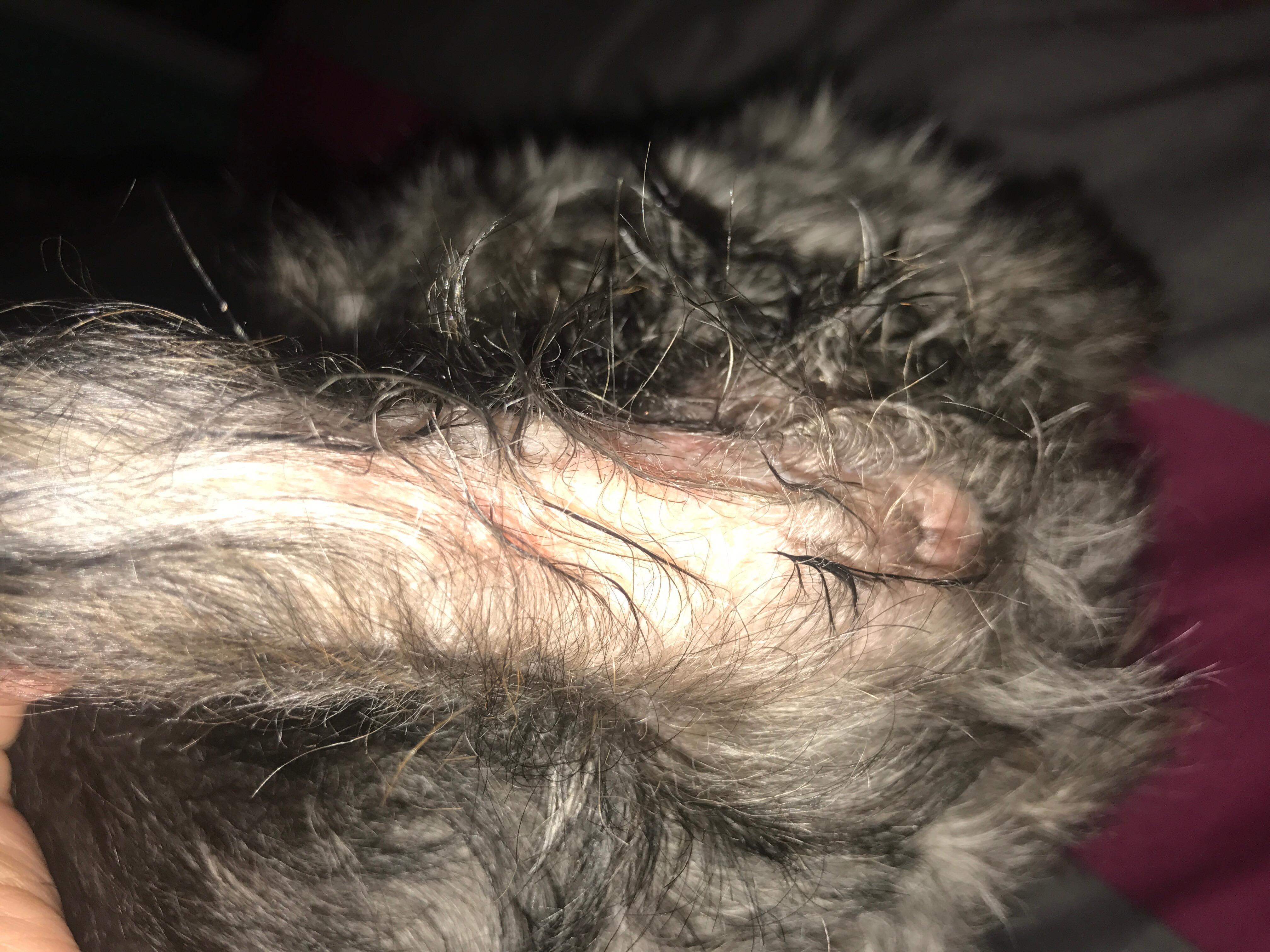 Question details sensitive content