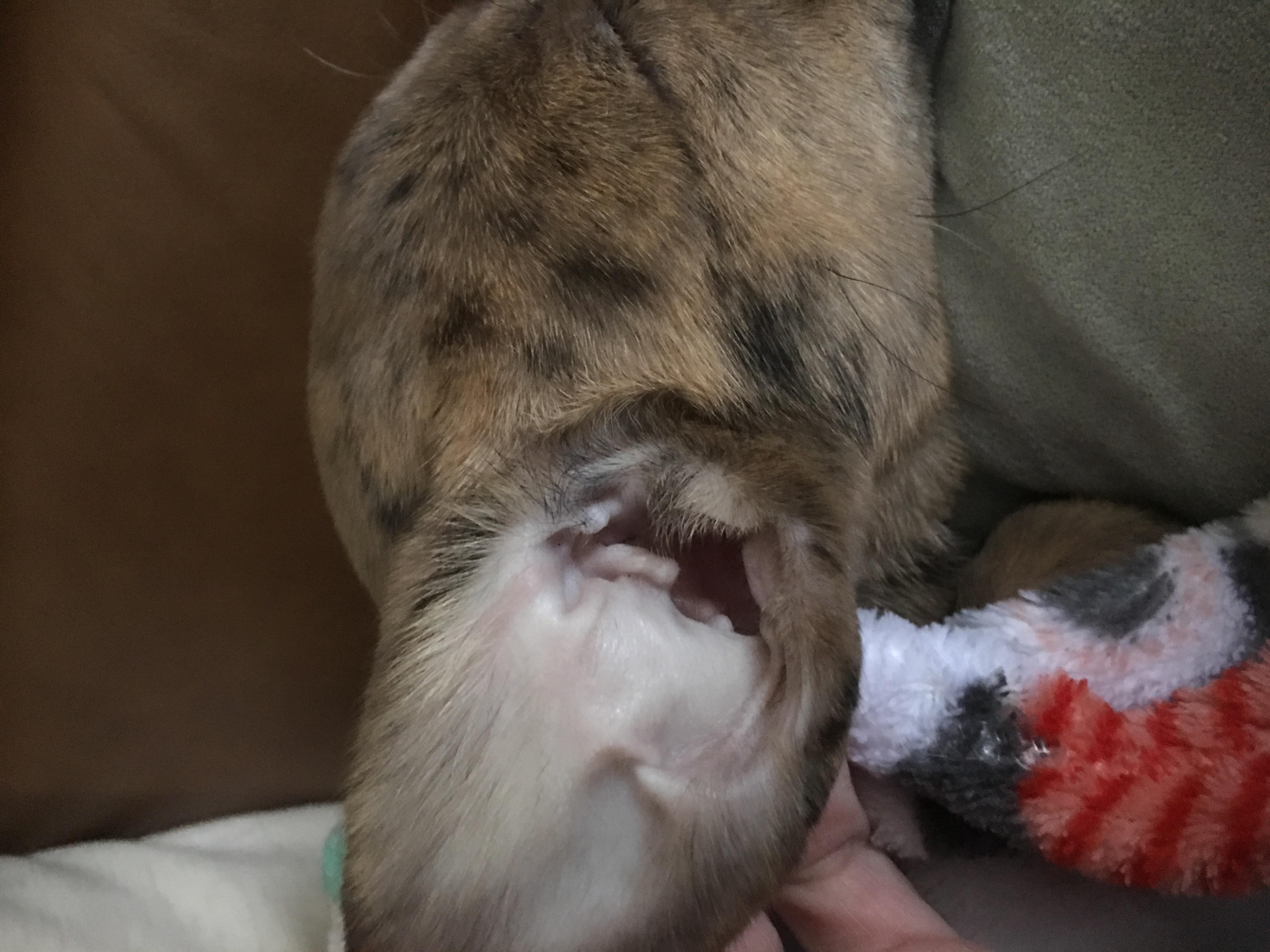 Question details sensitive content