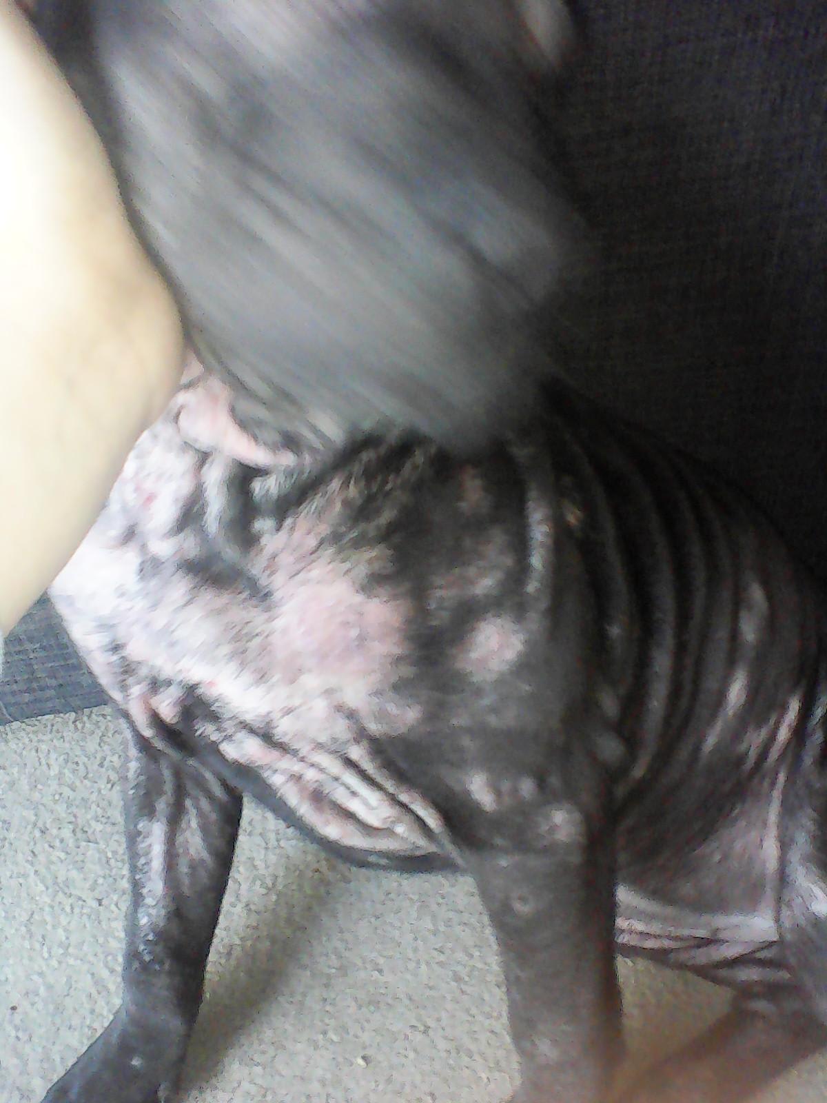 Question details sensitive content