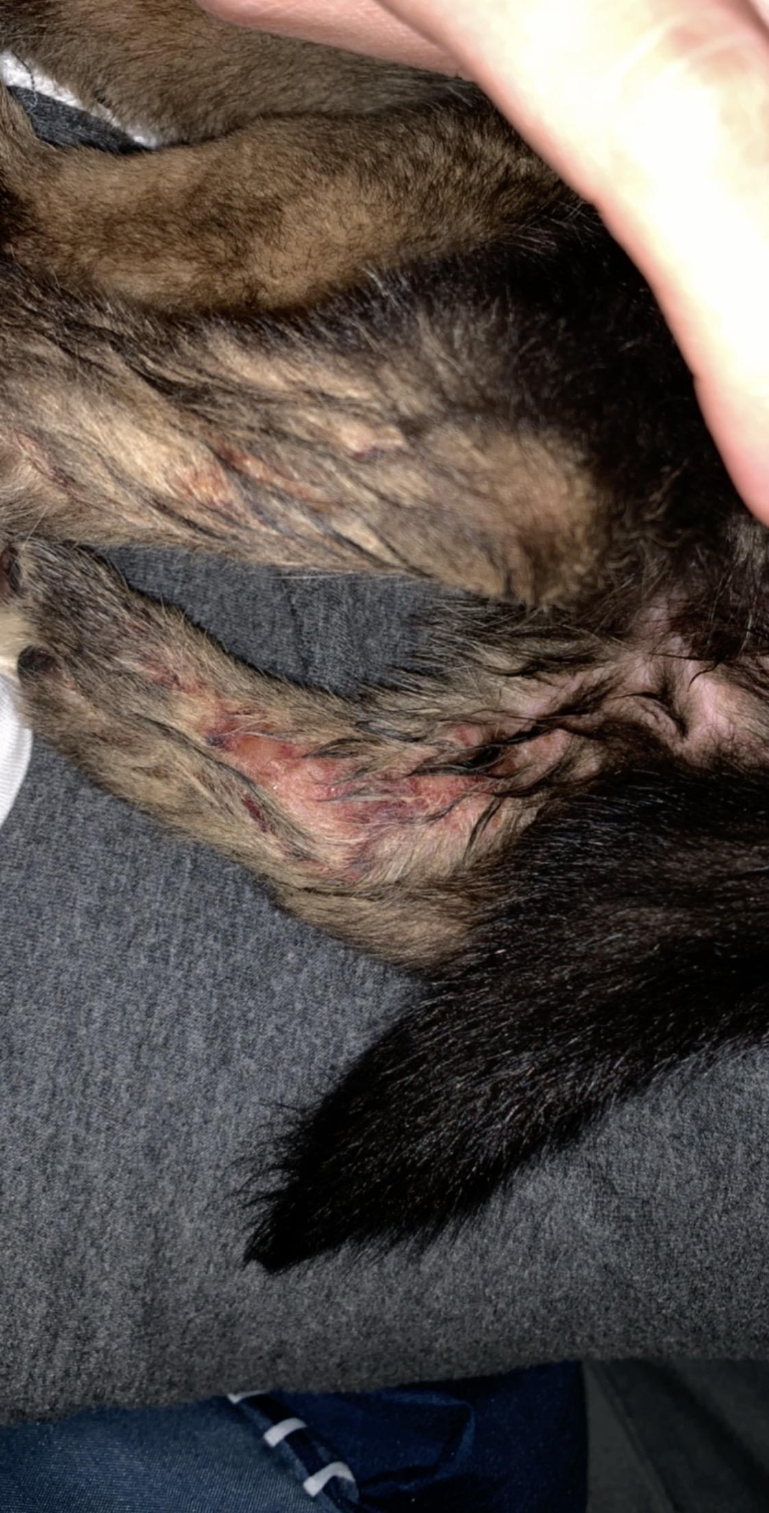 Question details sensitive content