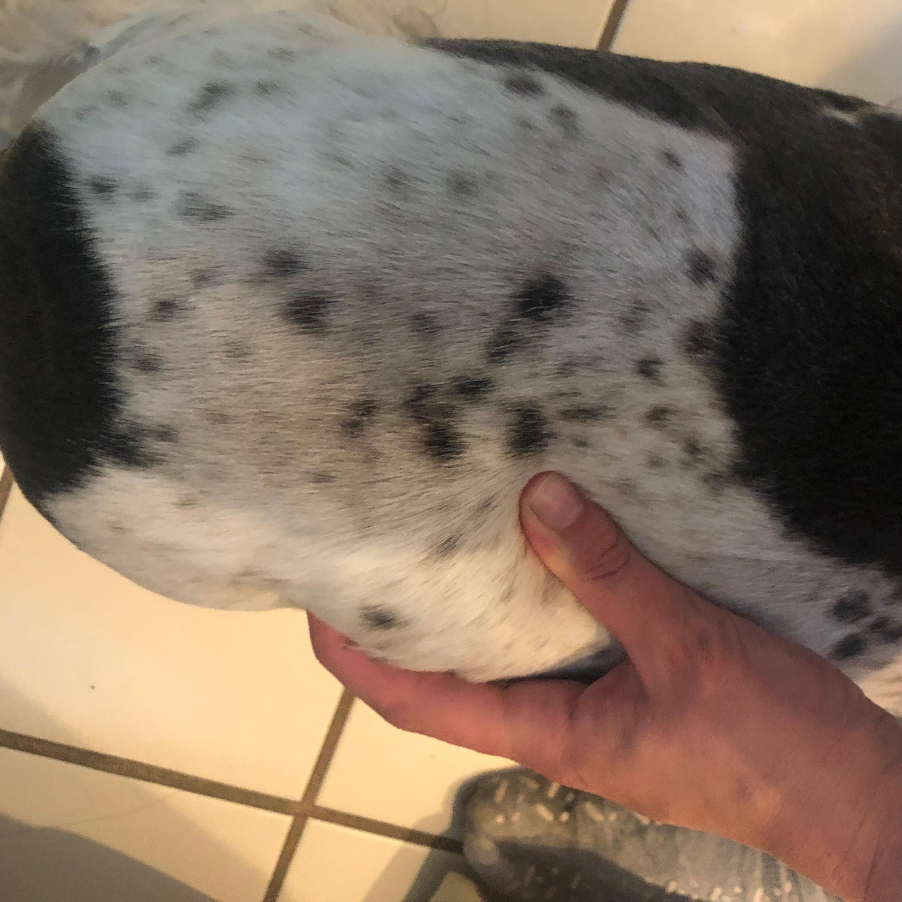 Question details sensitive content