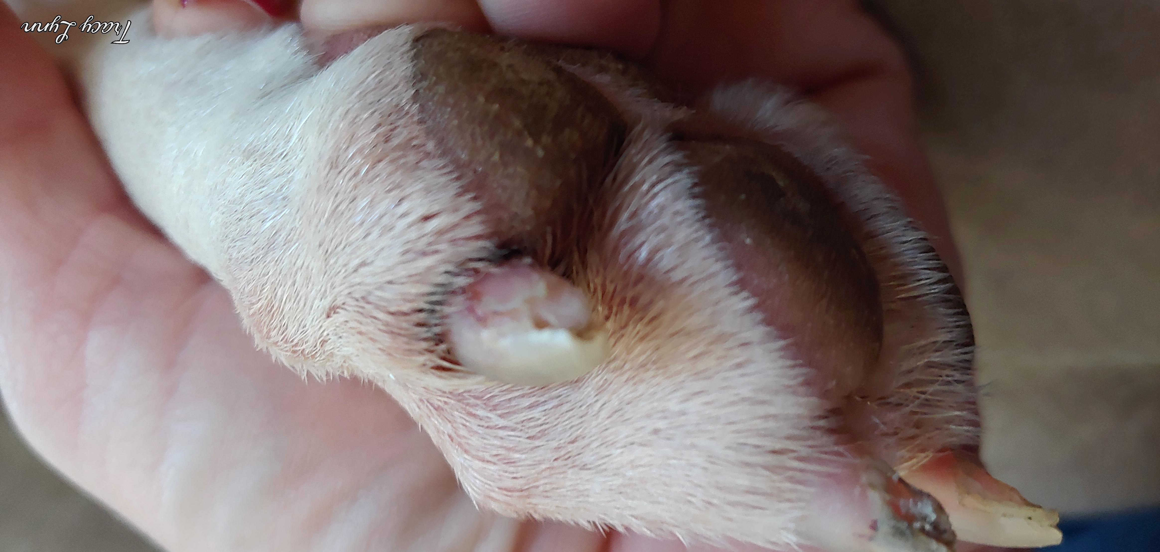 Question details sensitive content