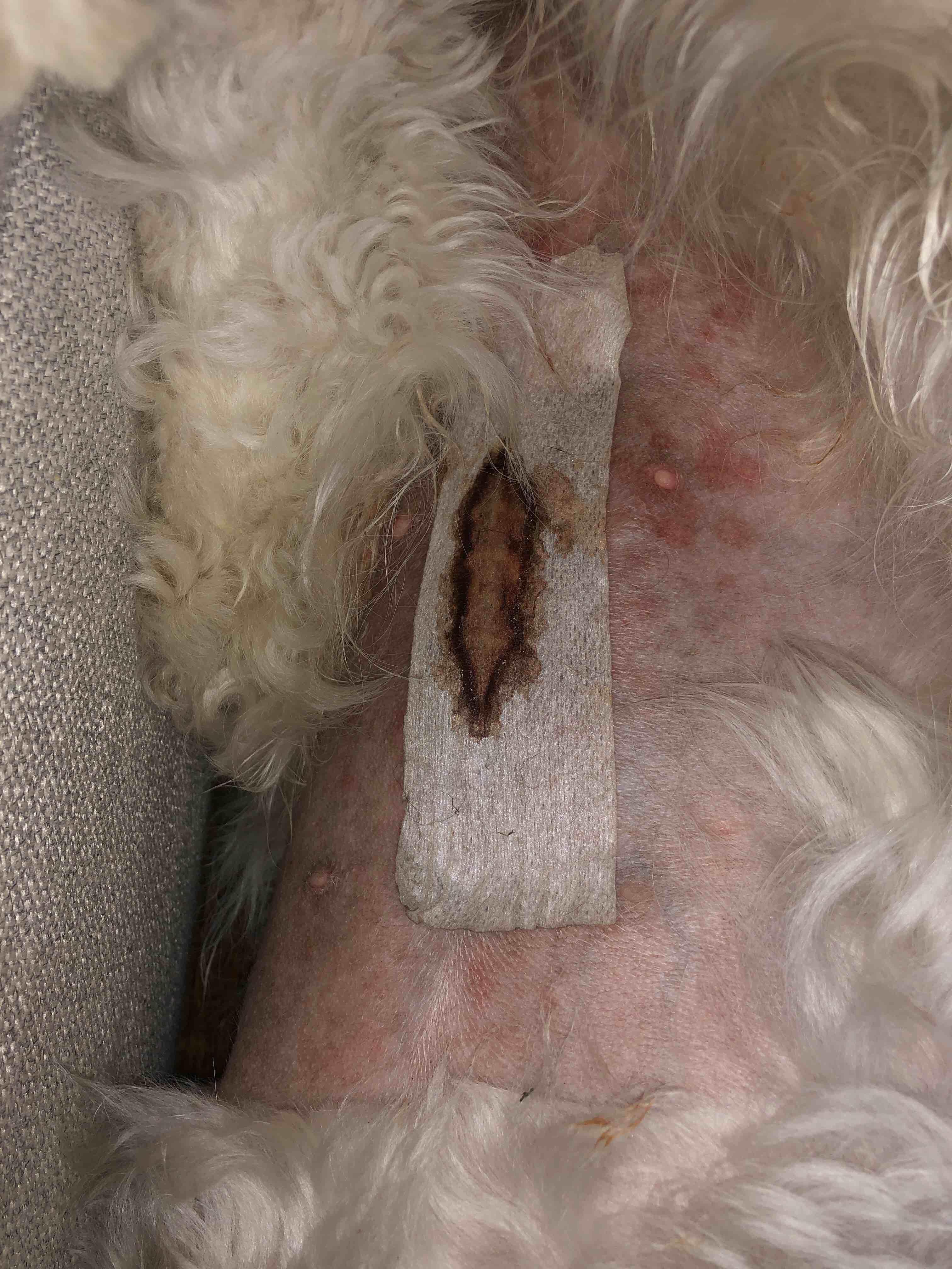 Question details sensitive content