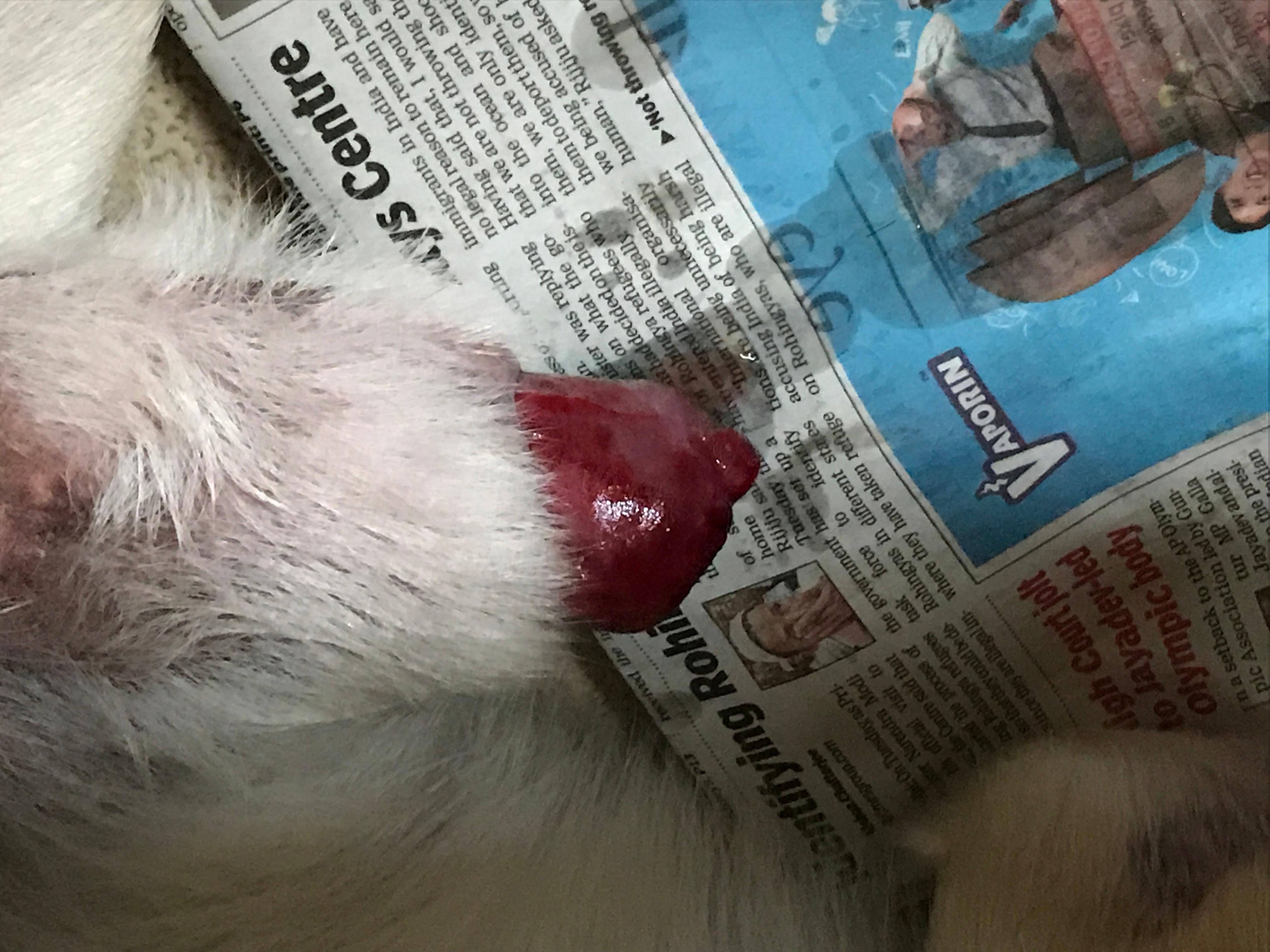 Question details sensitive content