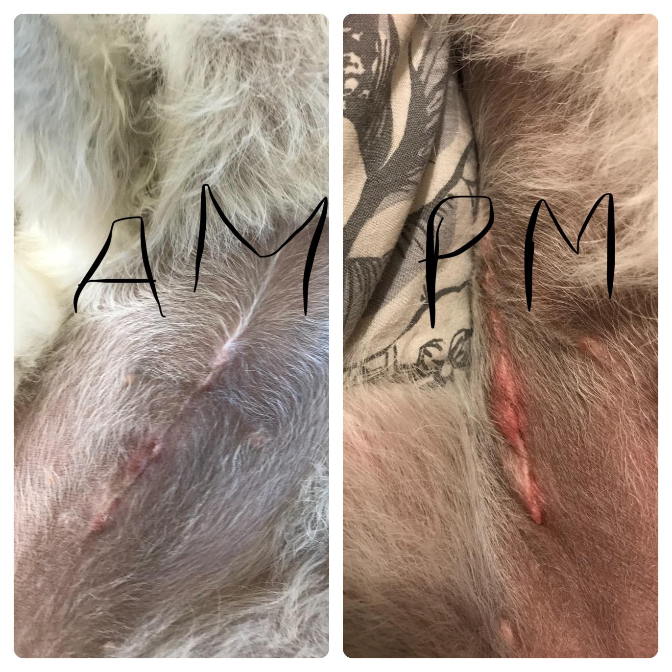 Question details sensitive content