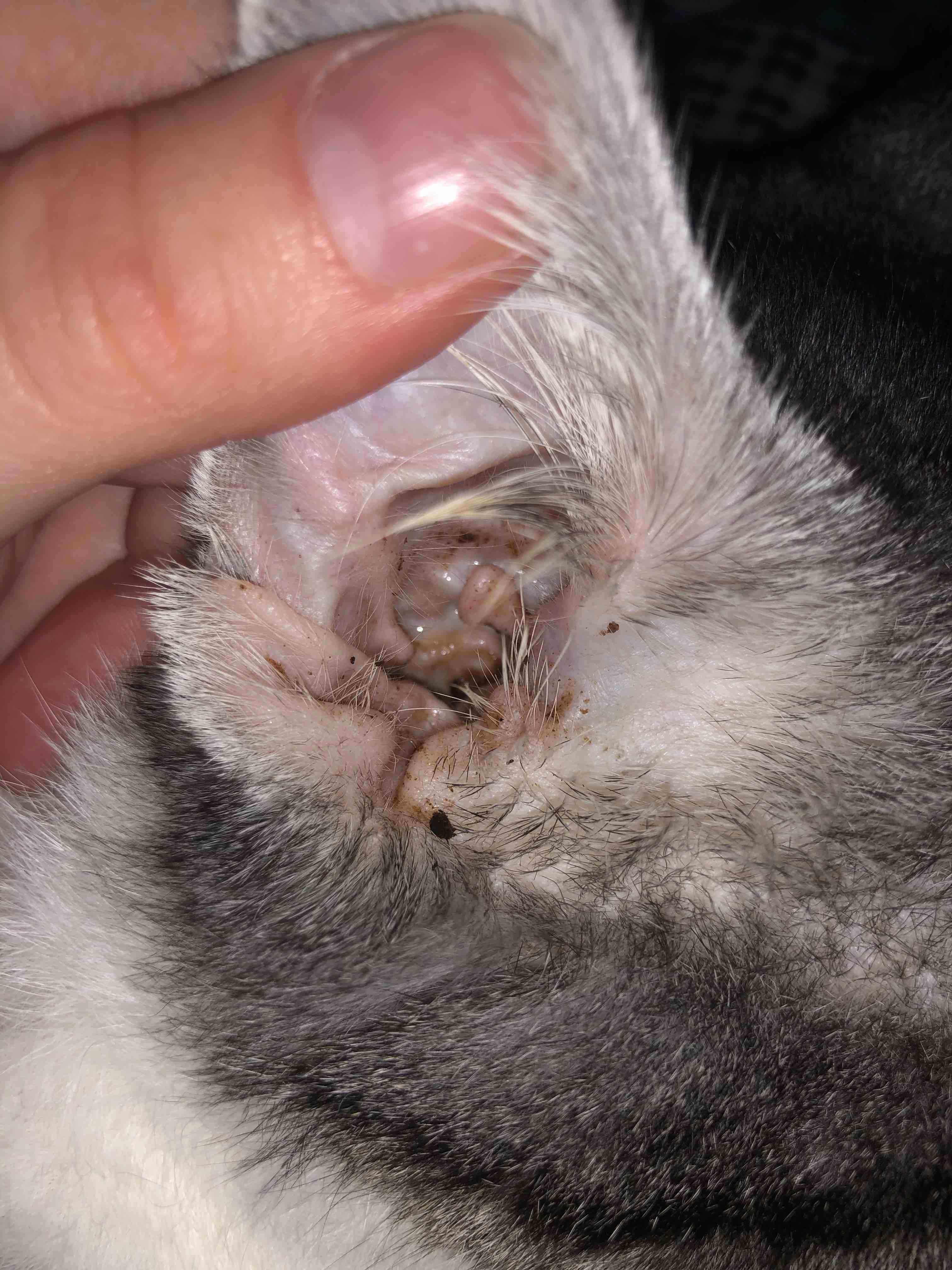 Question details sensitive content