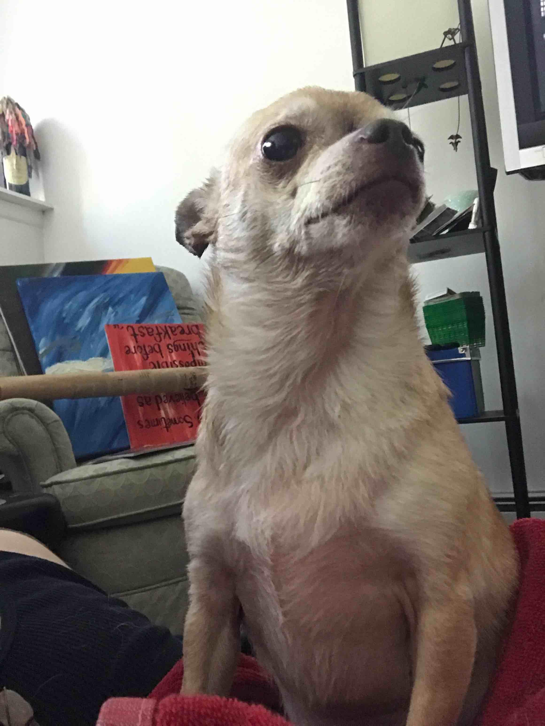 Question details sensitive content