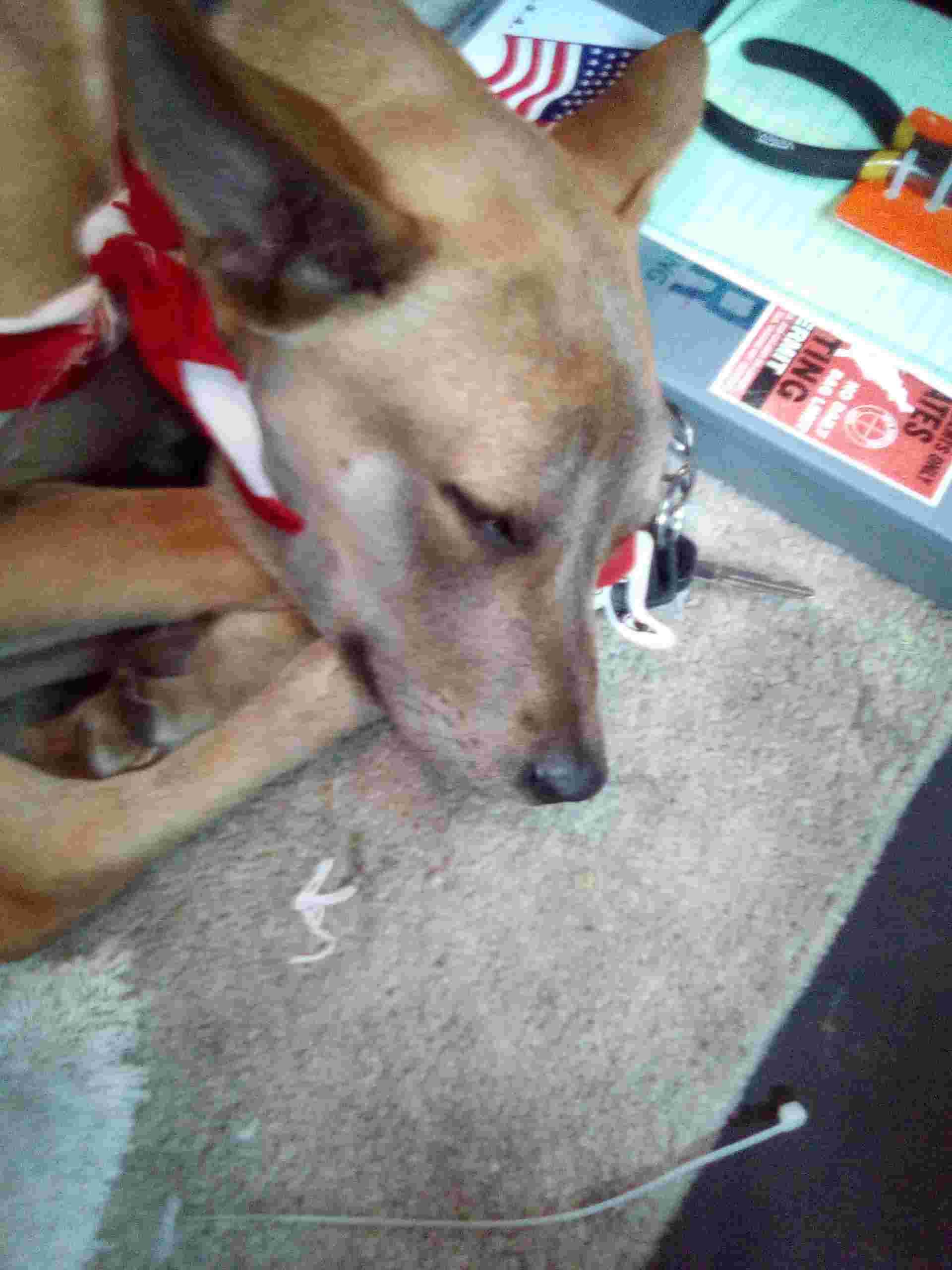 Question details sensitive content