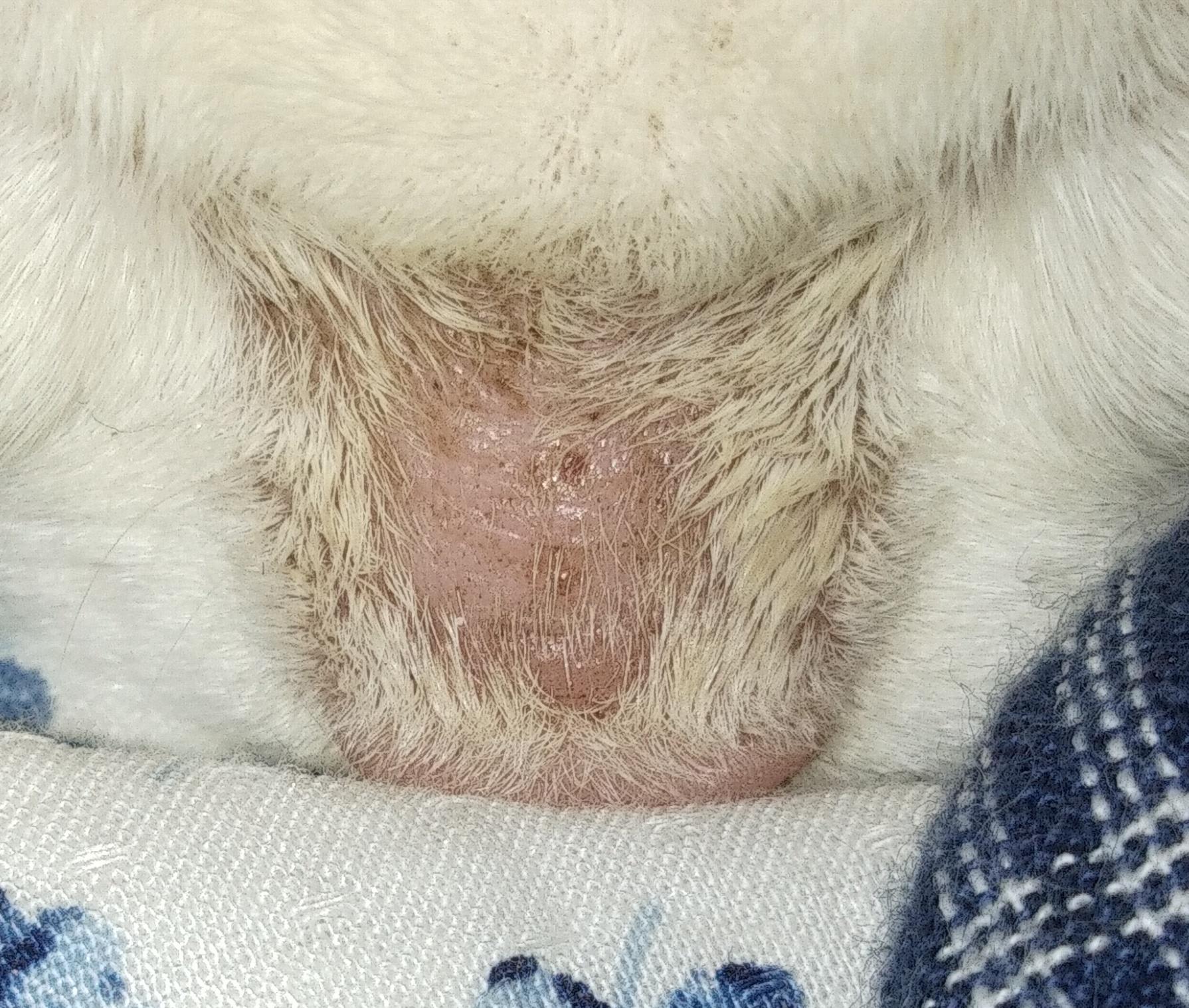 Question details sensitive content