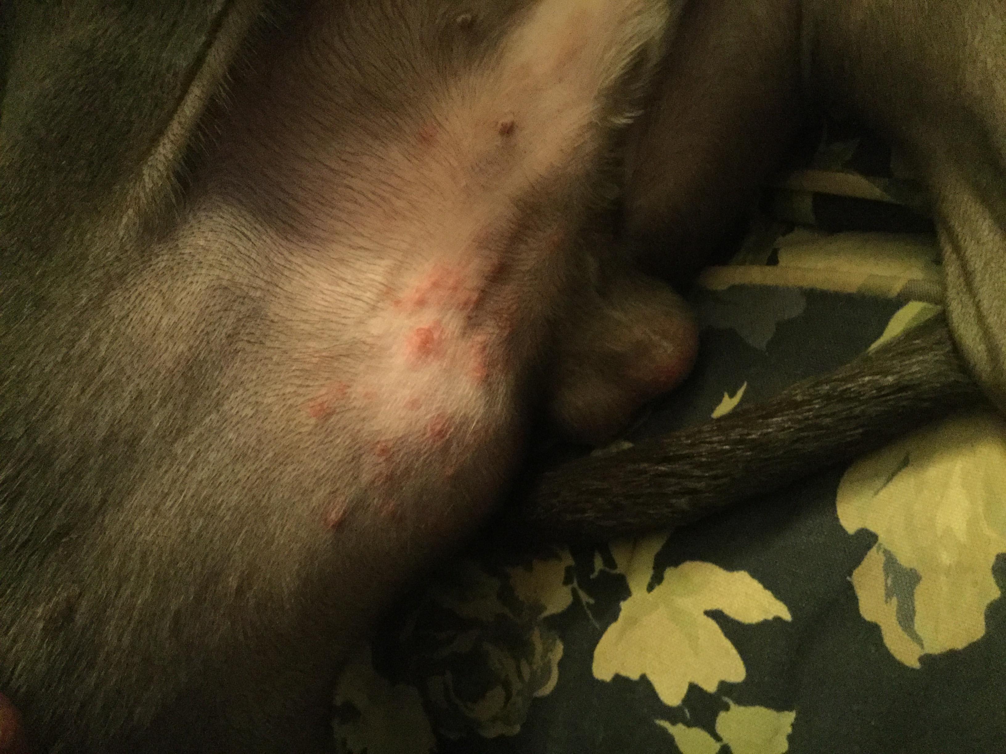 Question details sensitive content