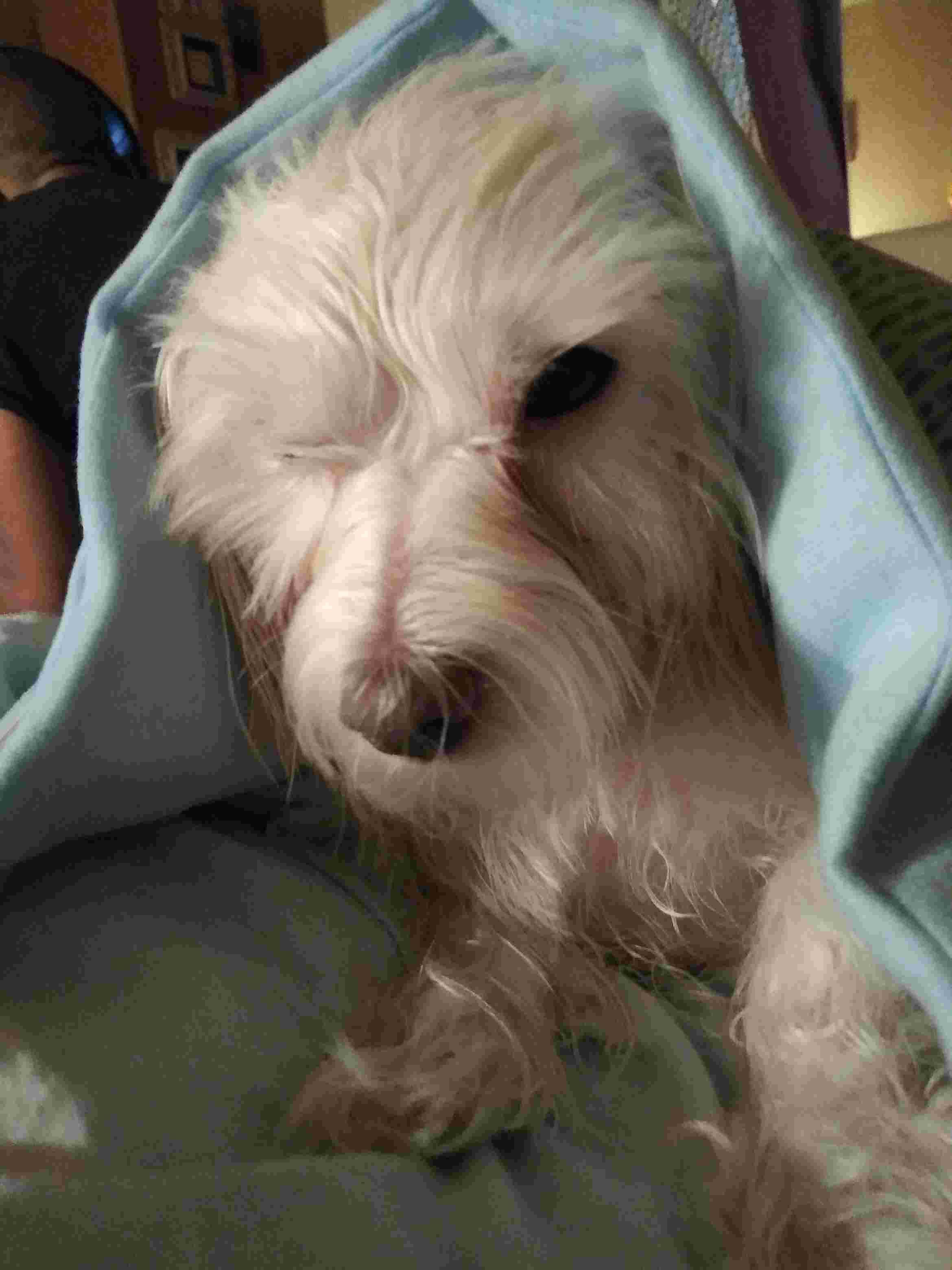 Question details sensitive content