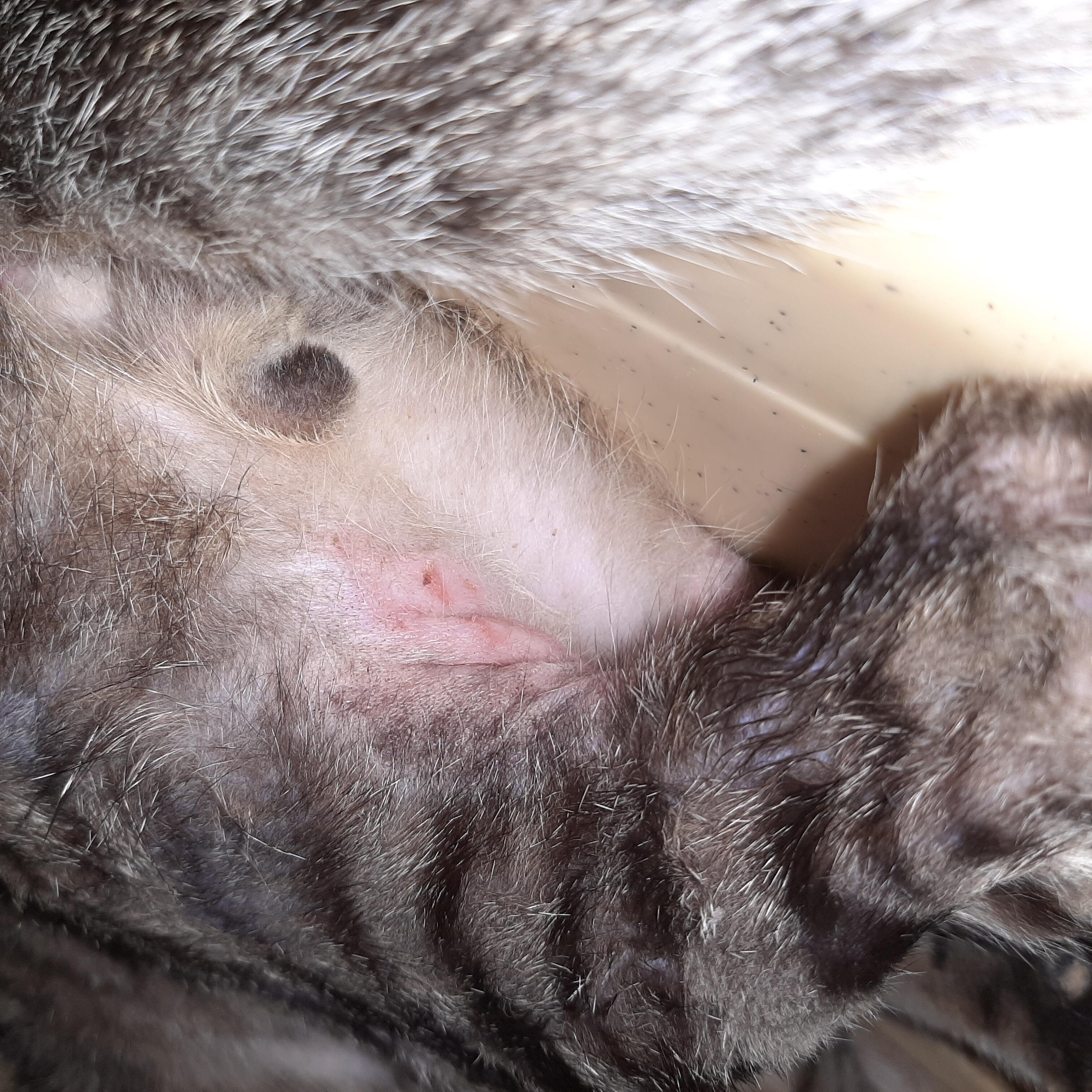 Question details sensitive content