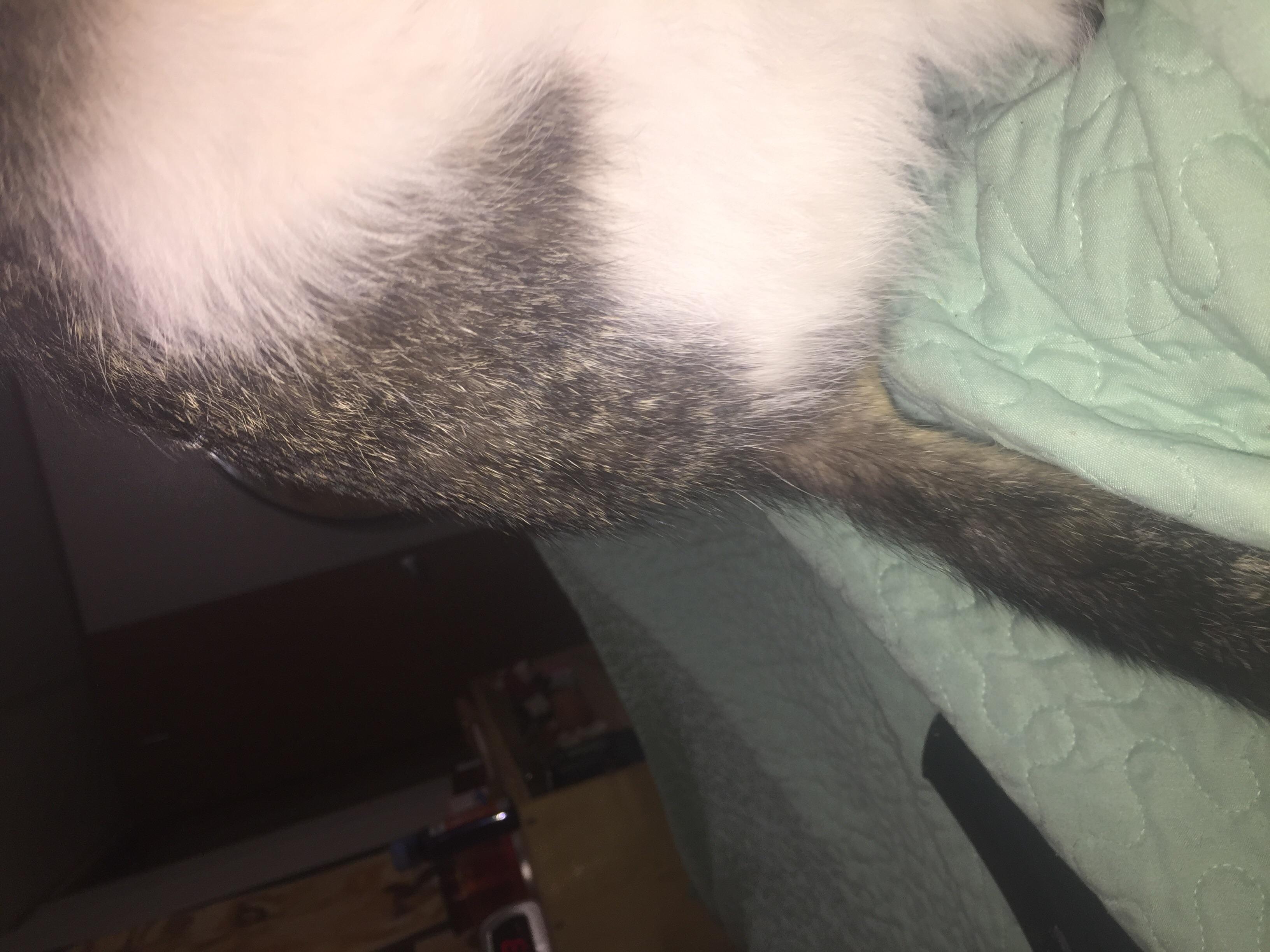 Question details sensitive content