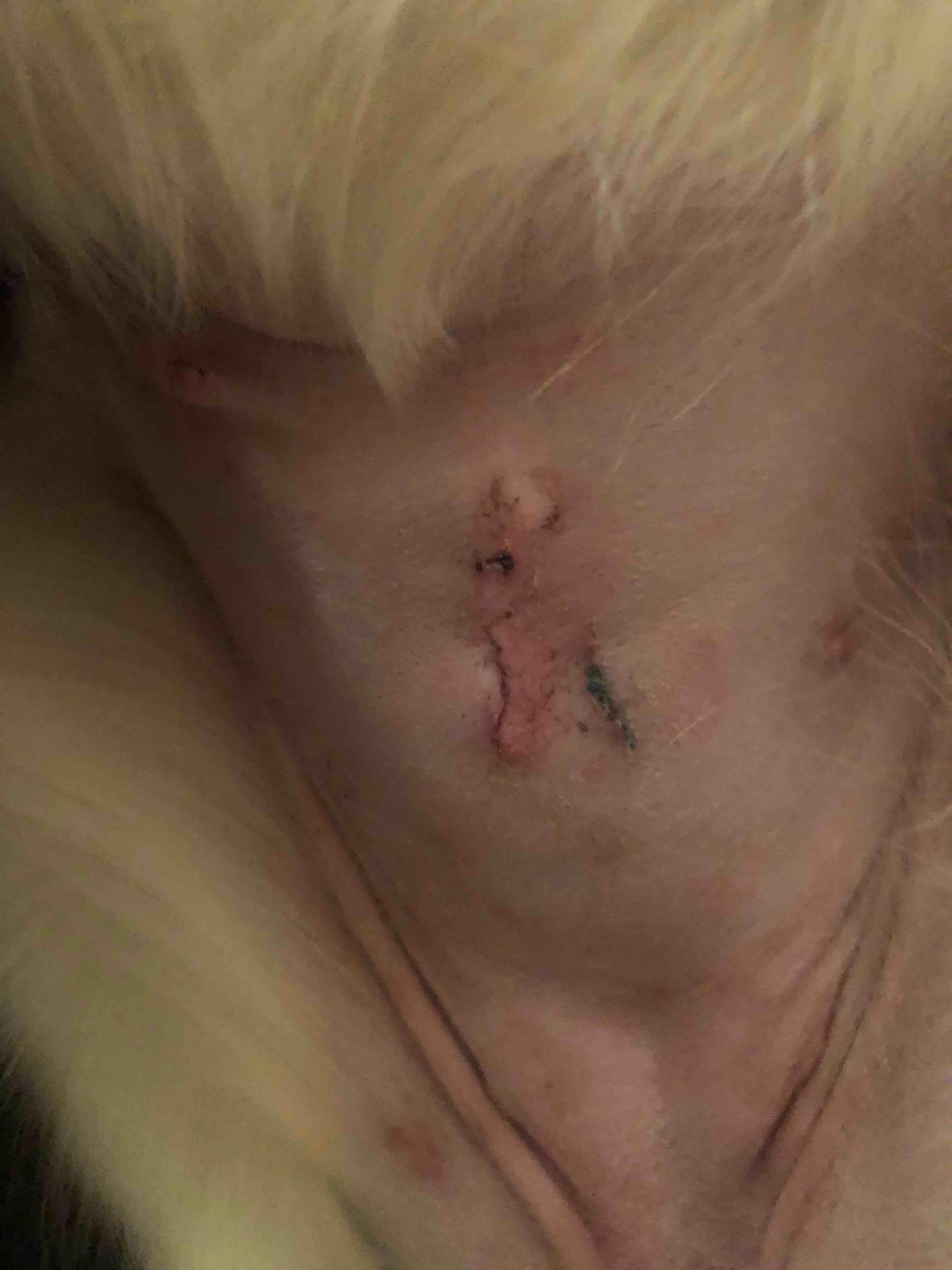 Question details sensitive content