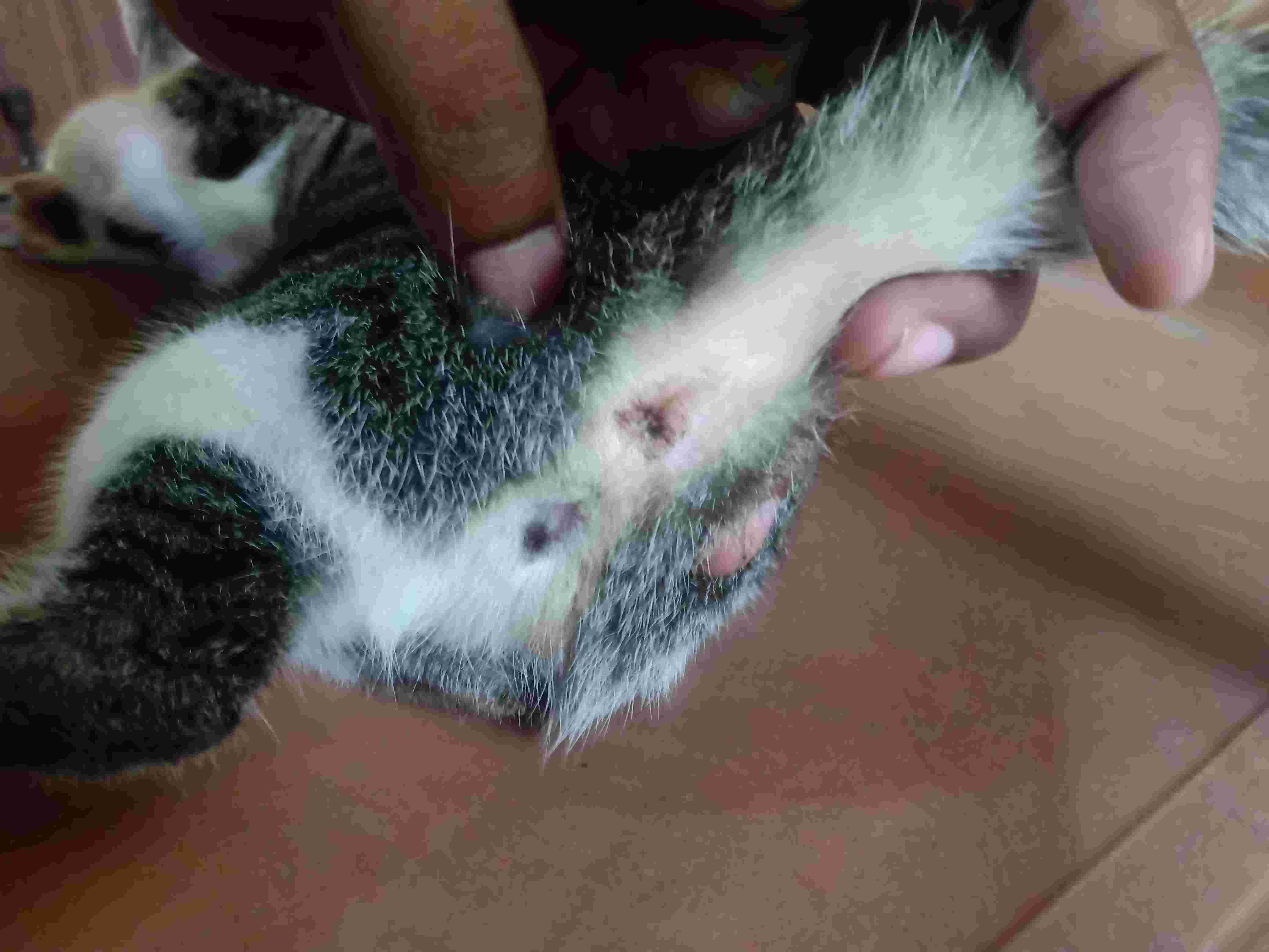 Question details sensitive content