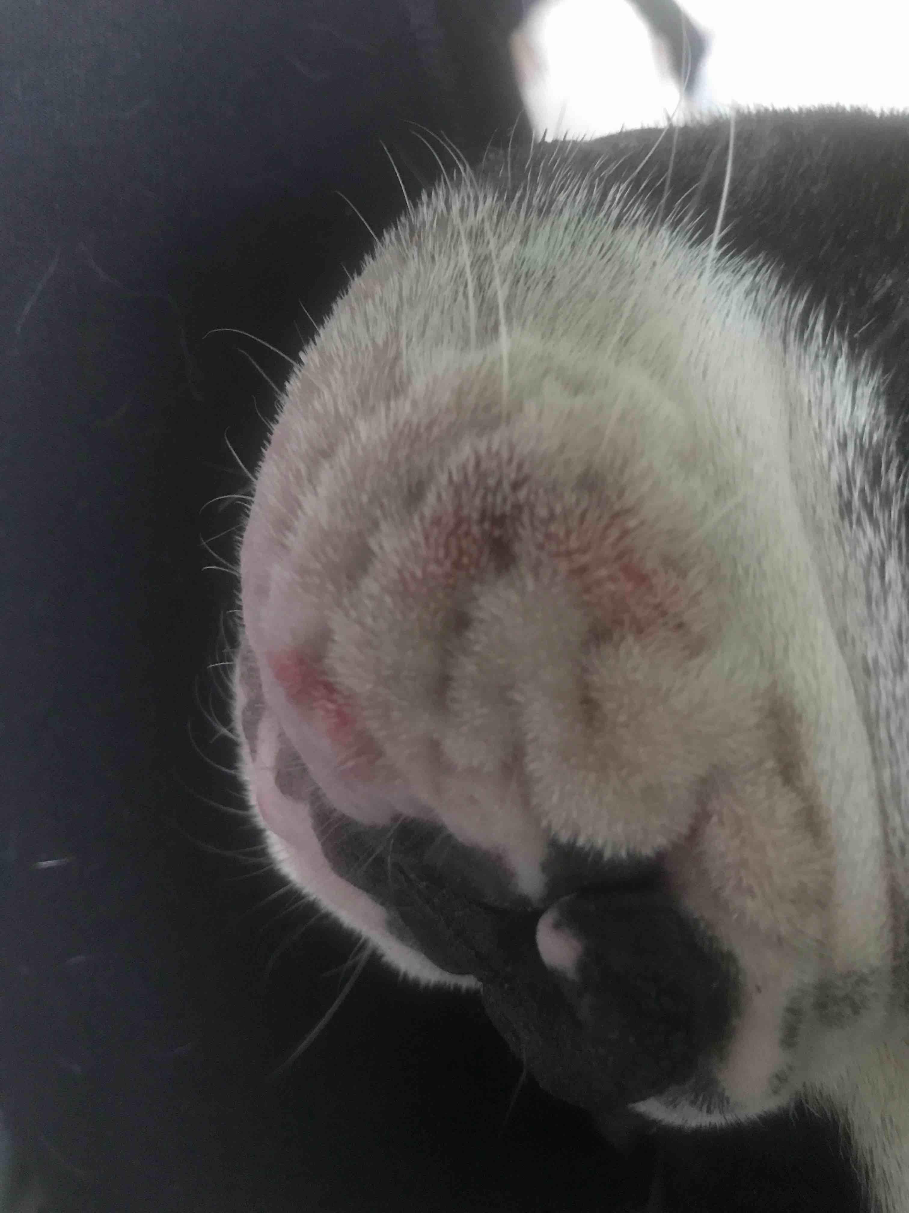 Question details sensitive content