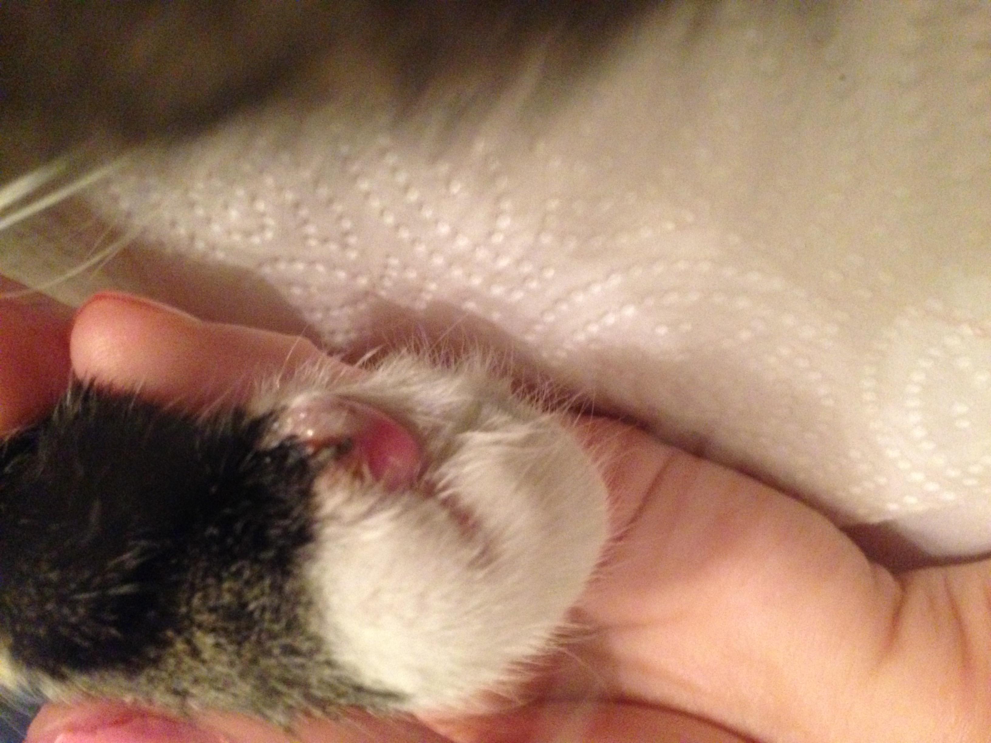 Question details sensitive content