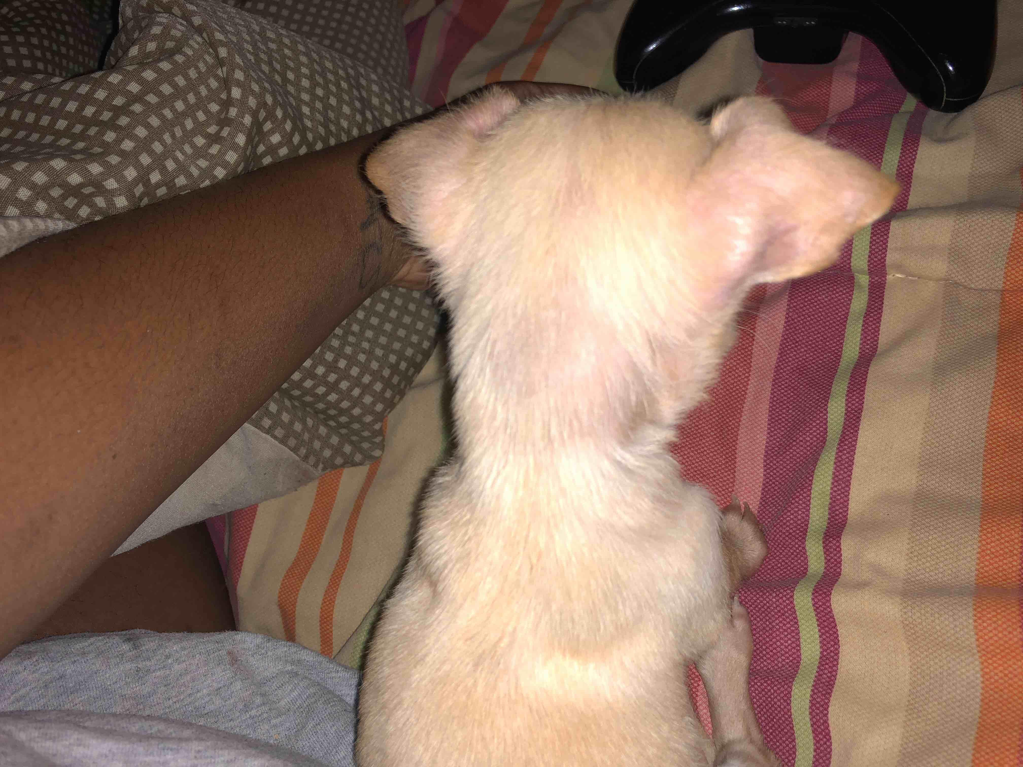 Question details sensitive content