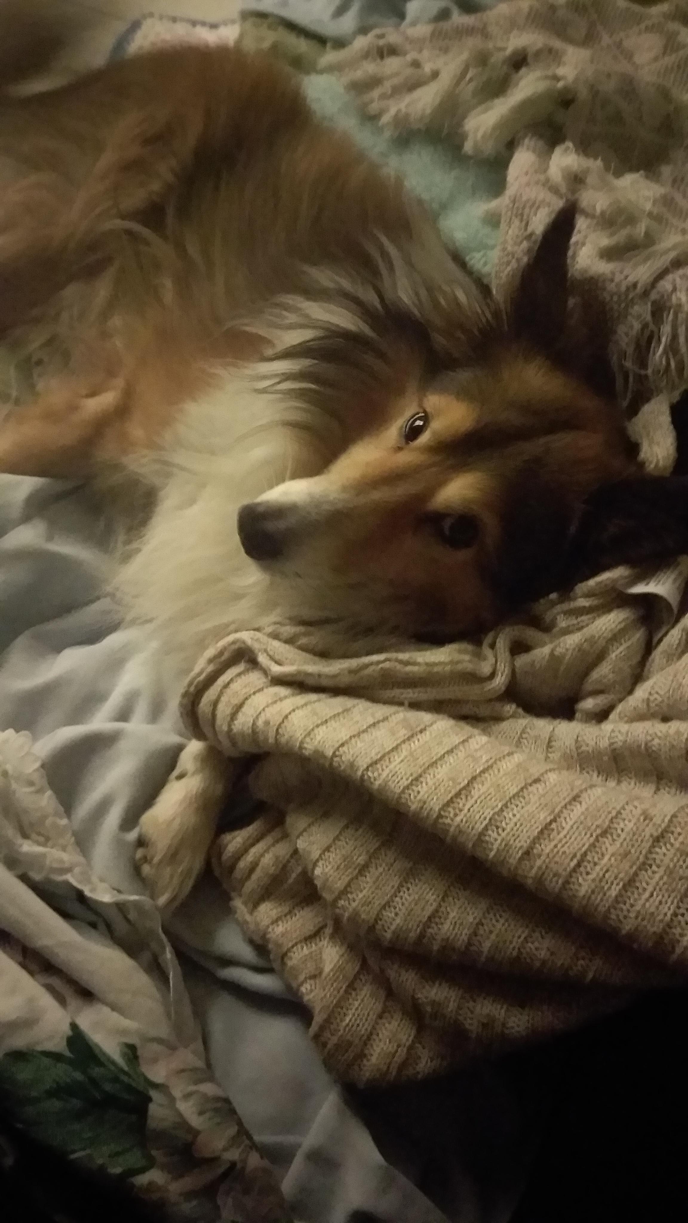 Question details sensitive content