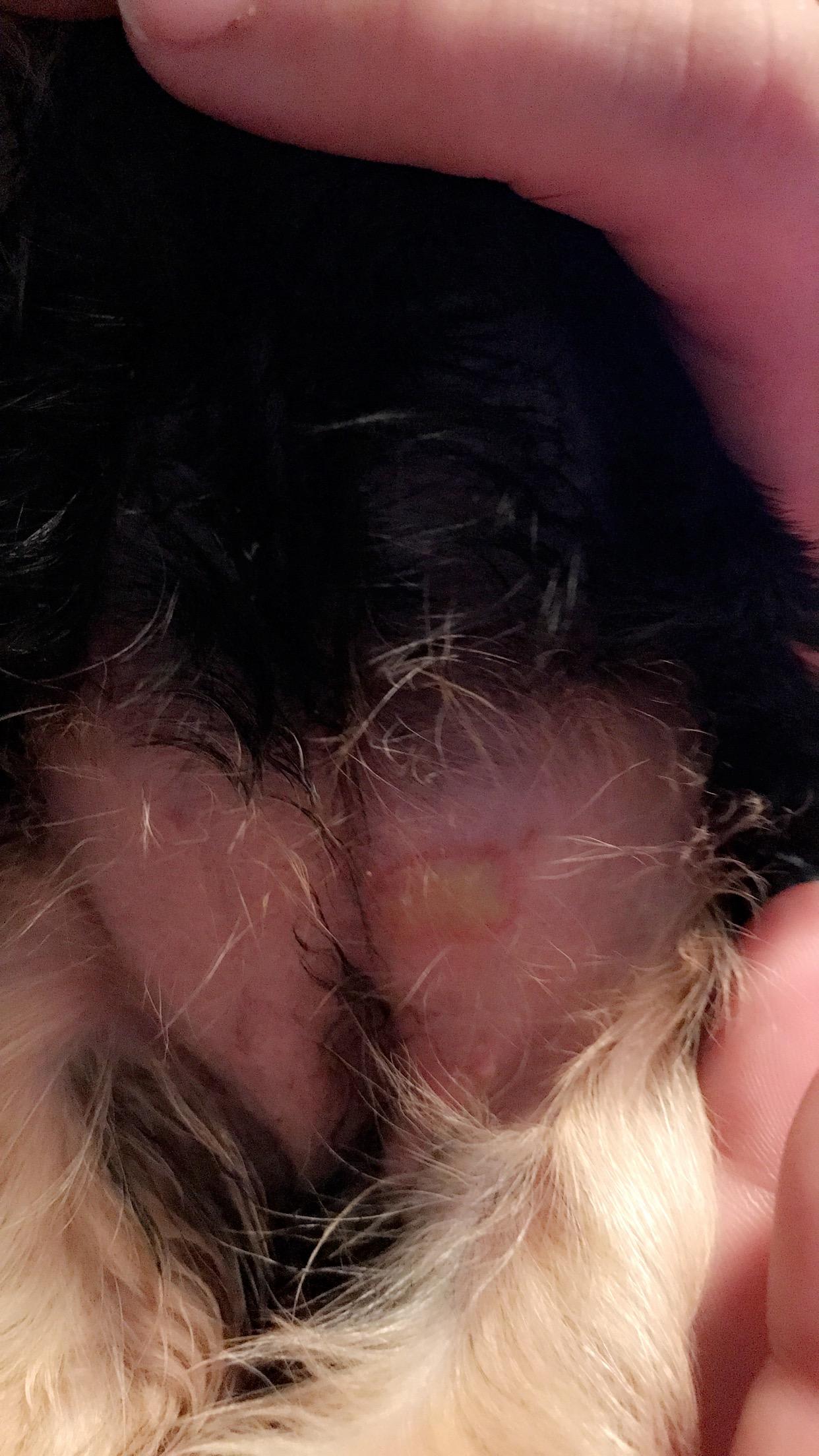 Question details sensitive content