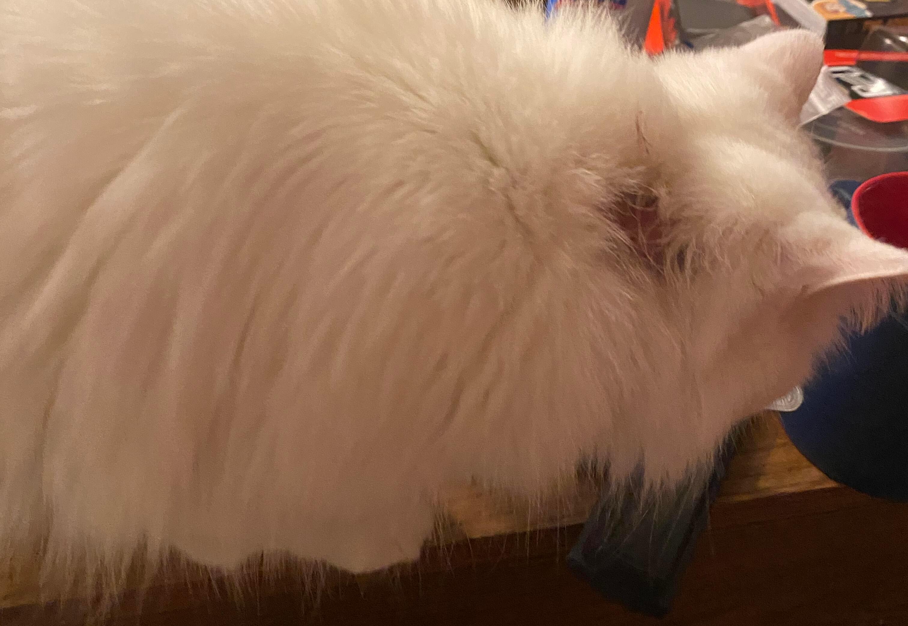 Question details sensitive content