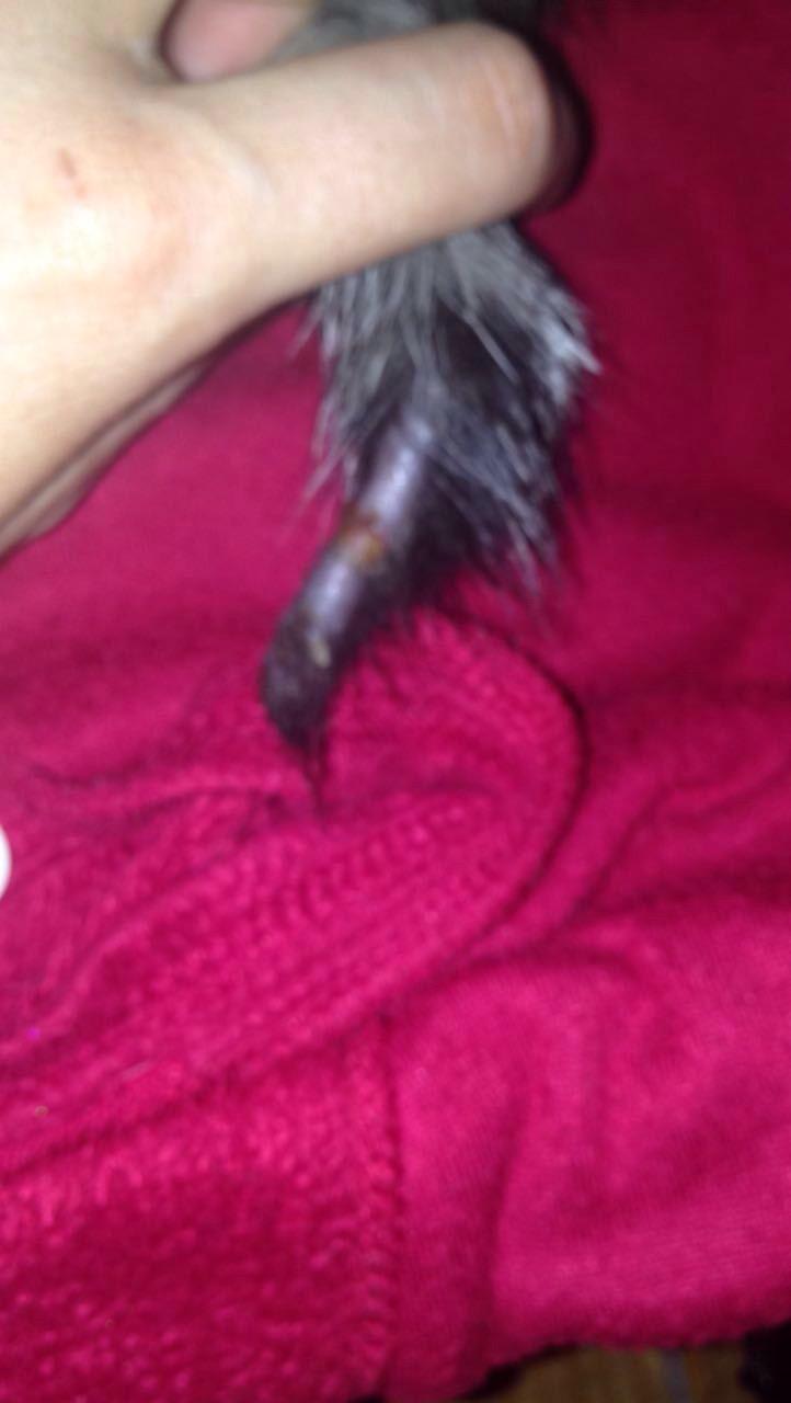 Question details sensitive content