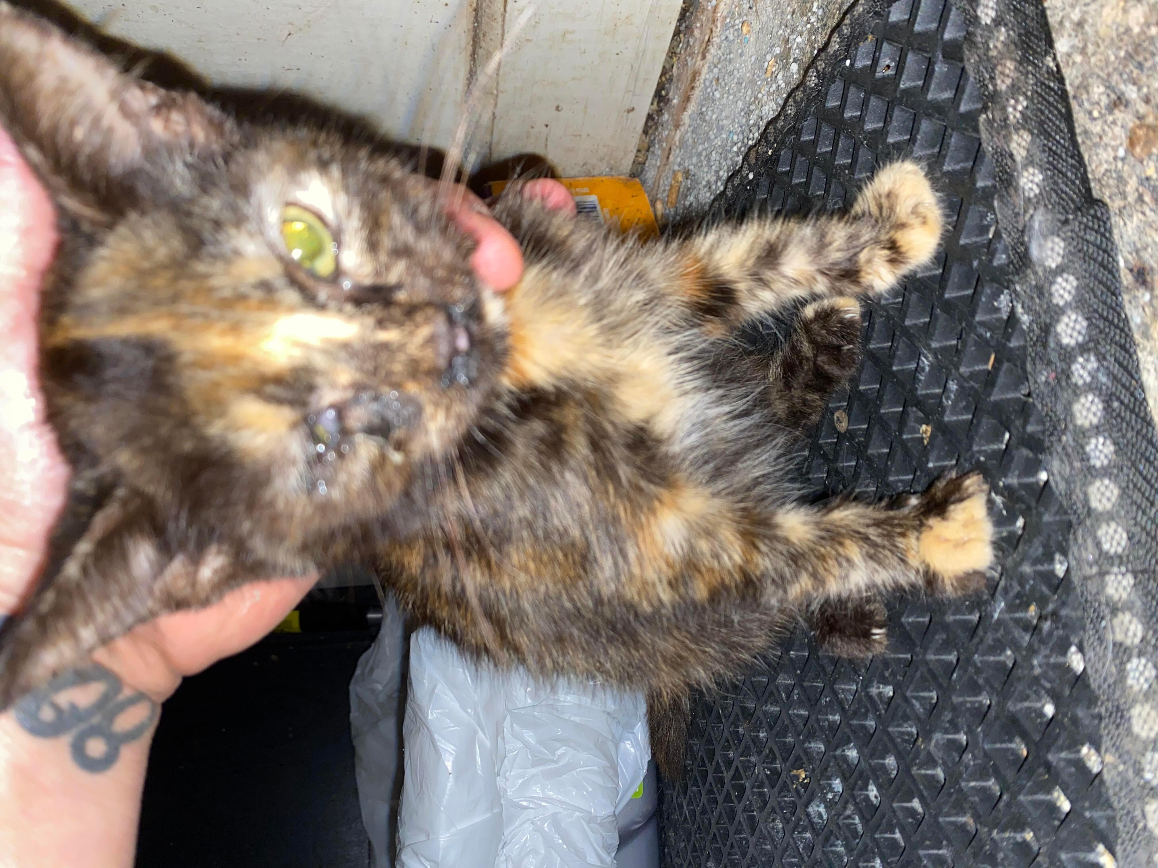 Question details sensitive content