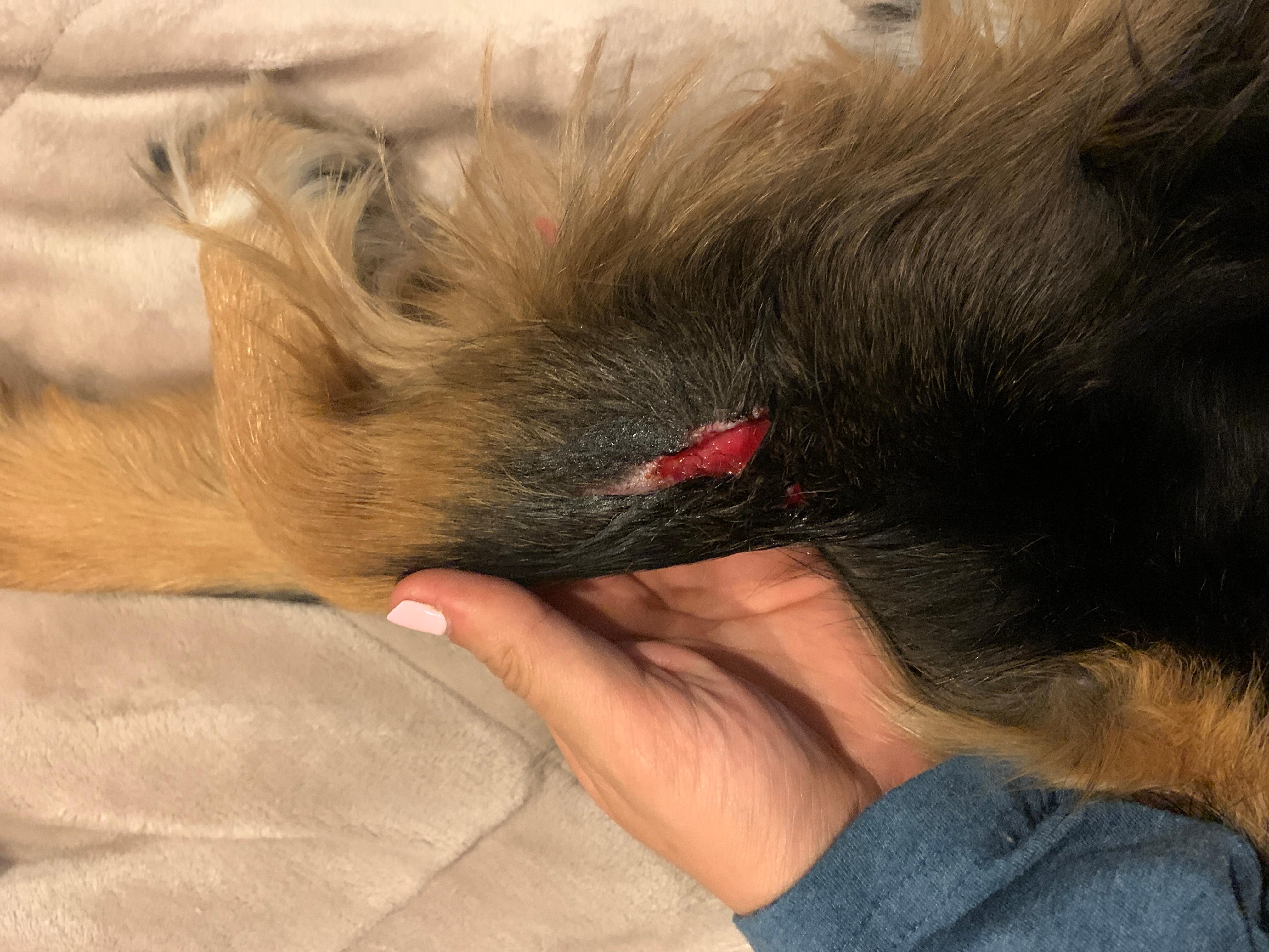 Question details sensitive content