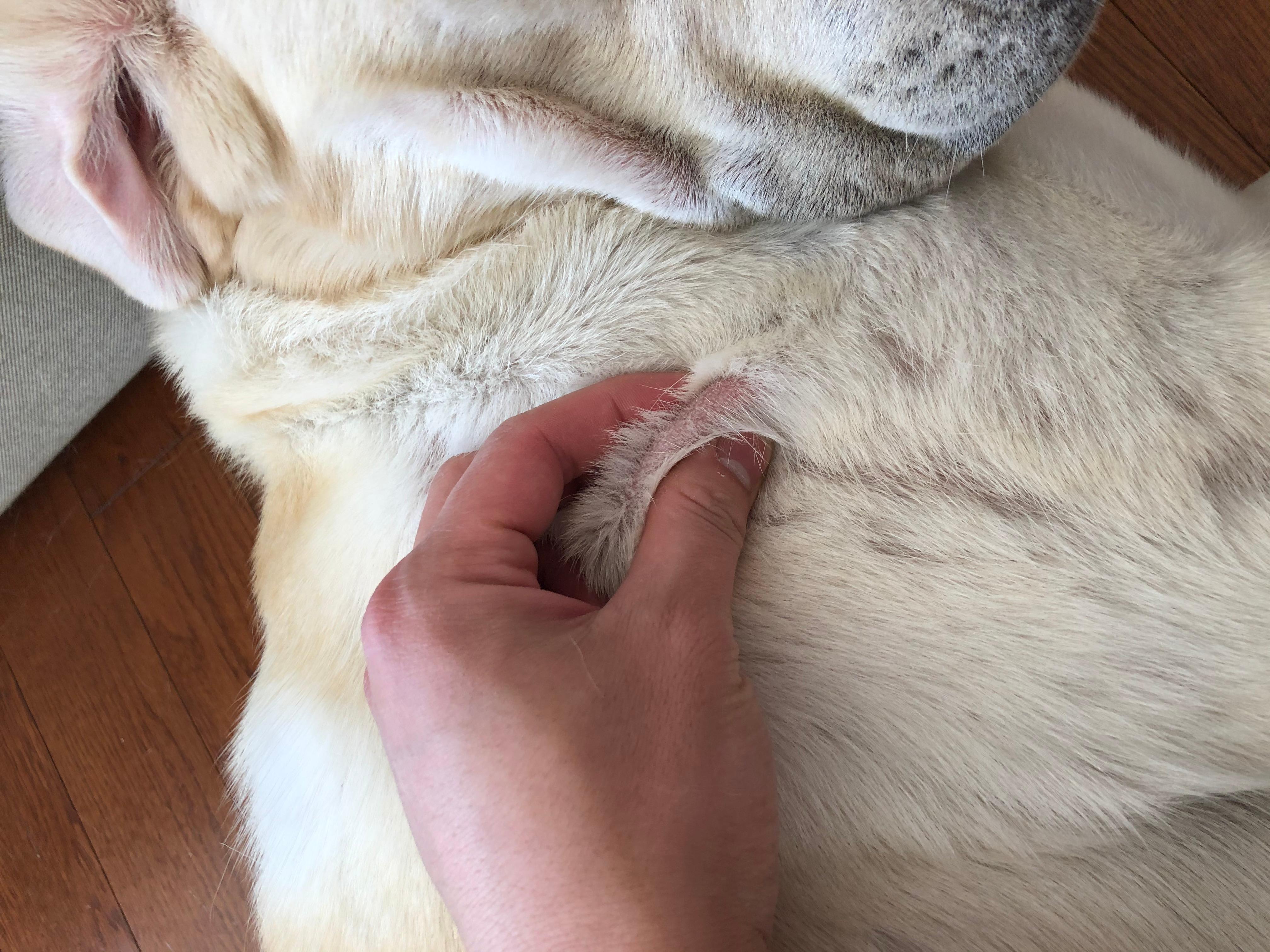 Question details sensitive content