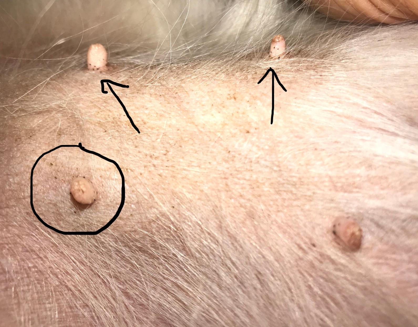 Question details sensitive content