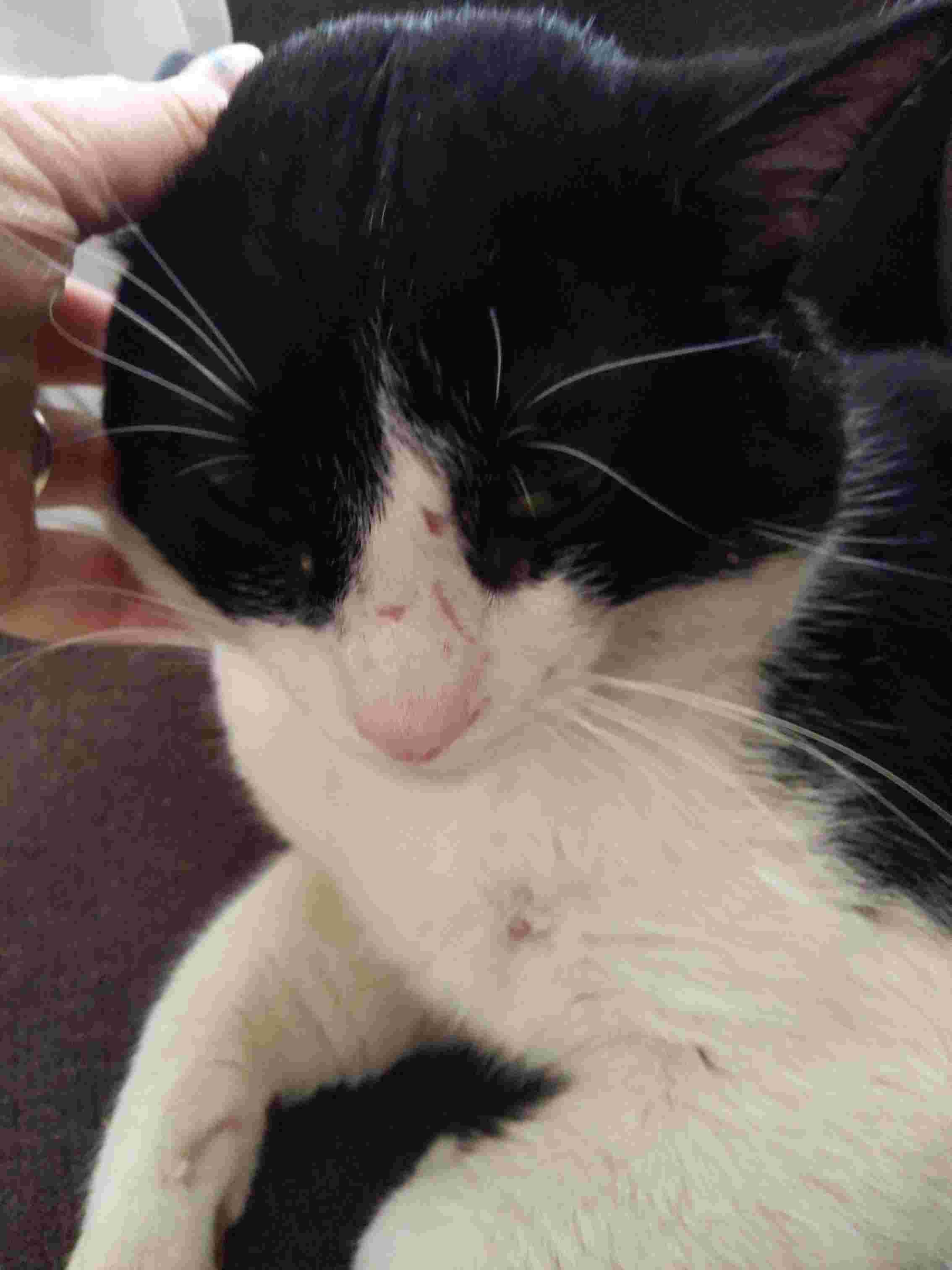 Question details sensitive content