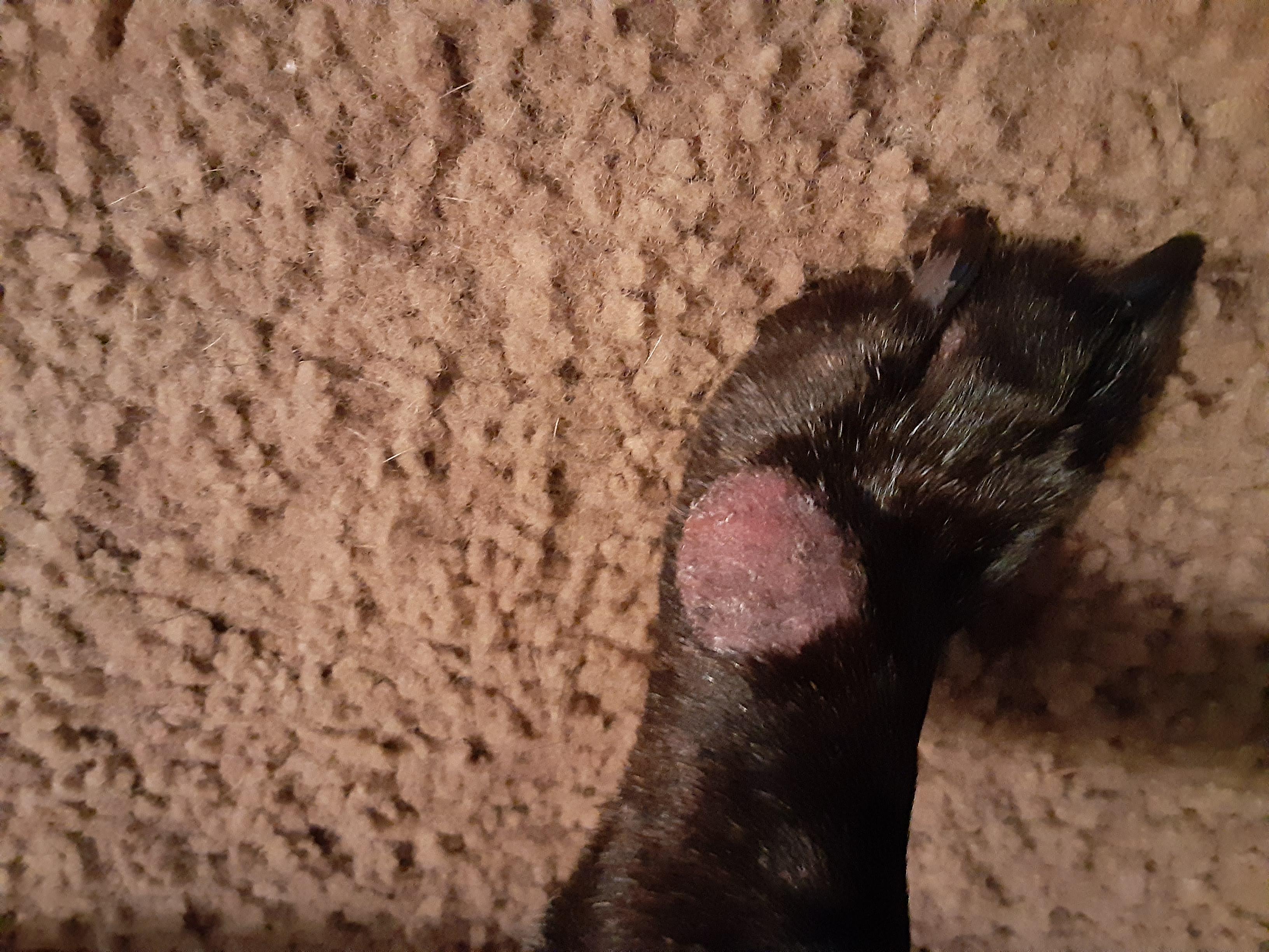 Question details sensitive content