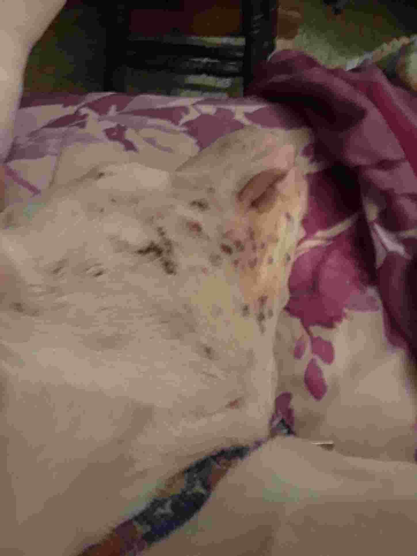 Question details sensitive content