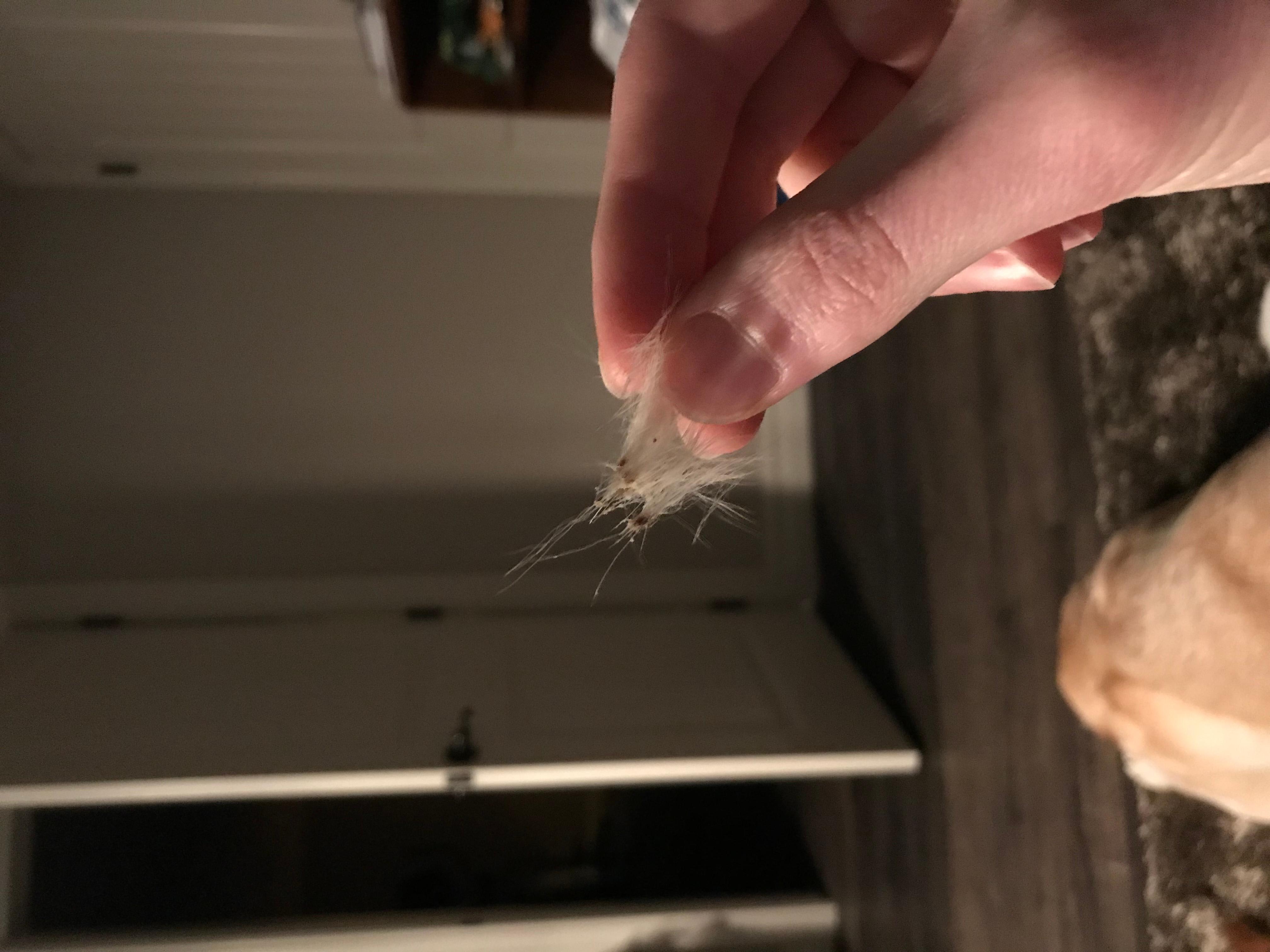 Question details sensitive content