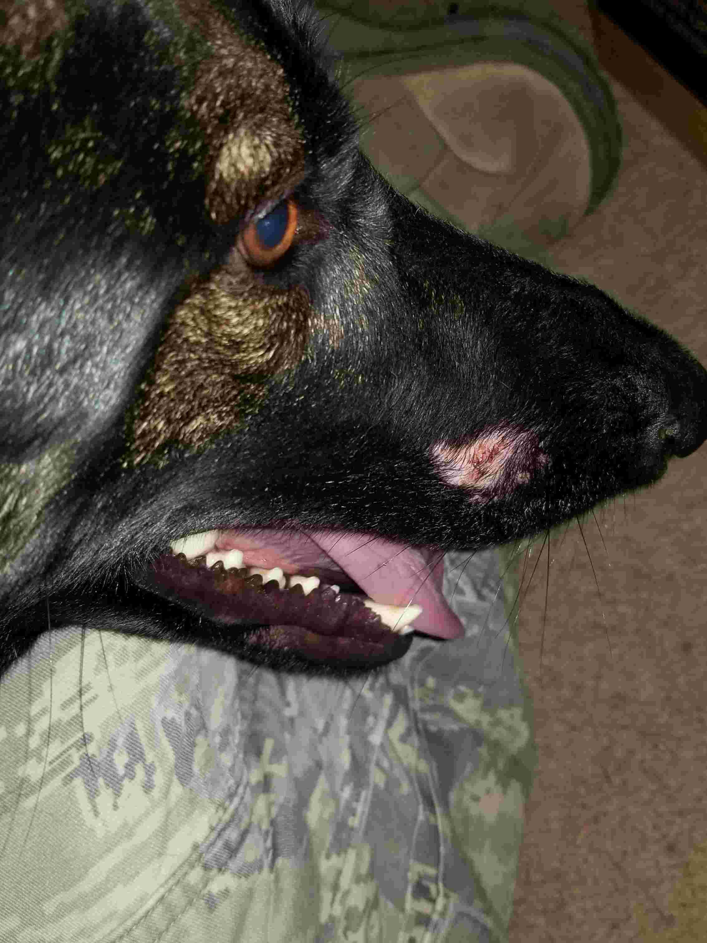 Question details sensitive content