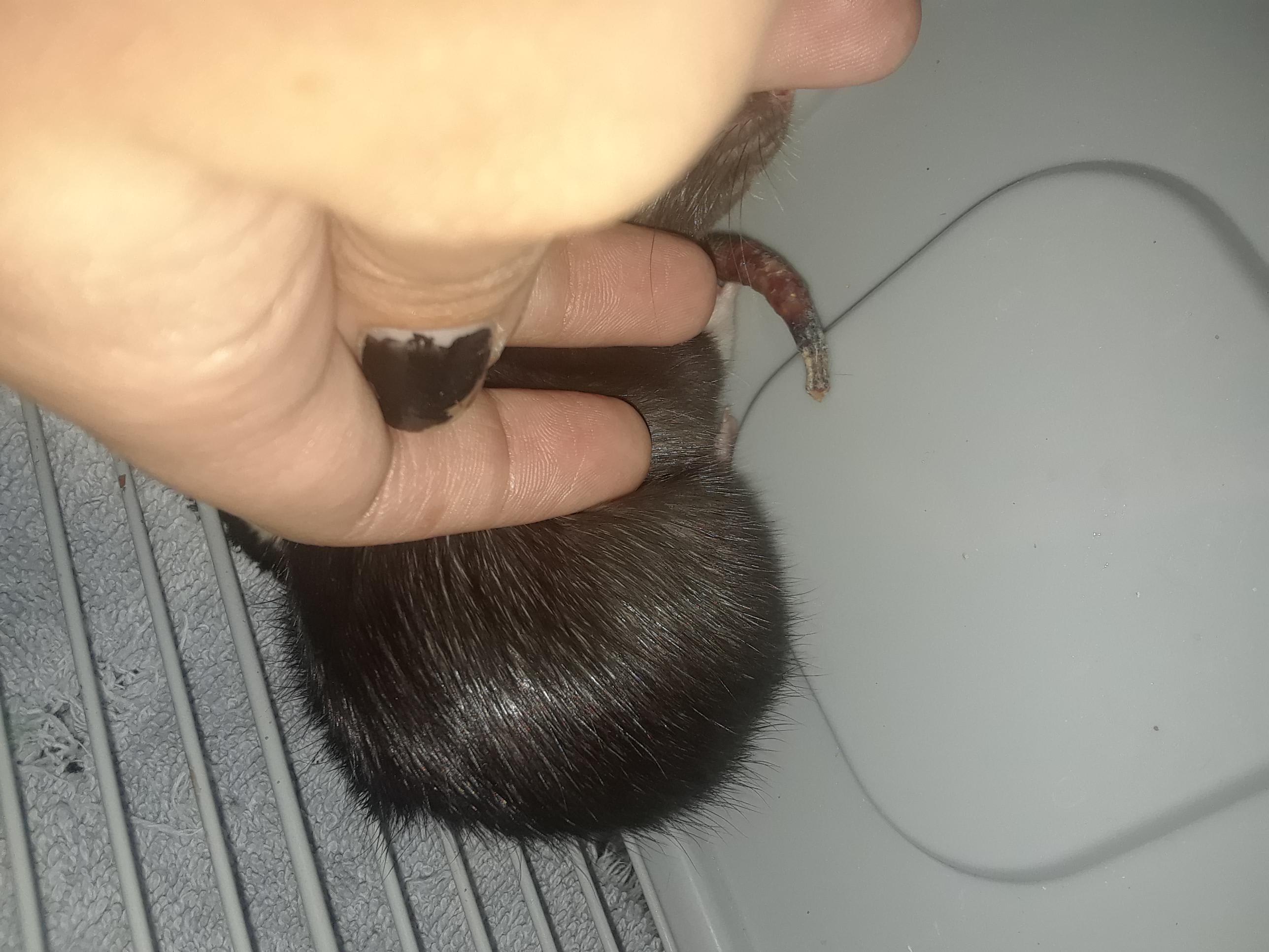 Question details sensitive content