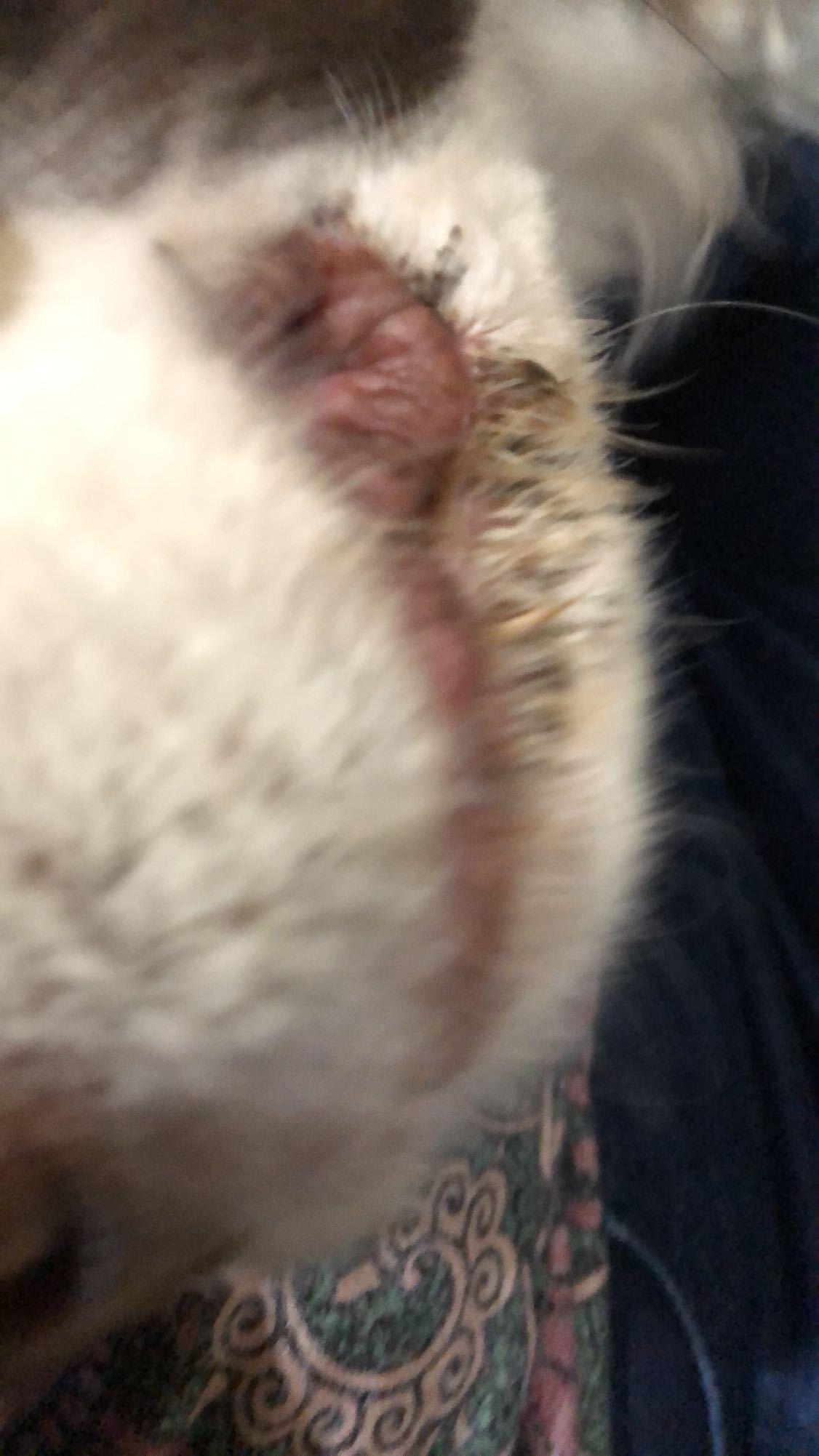 Question details sensitive content