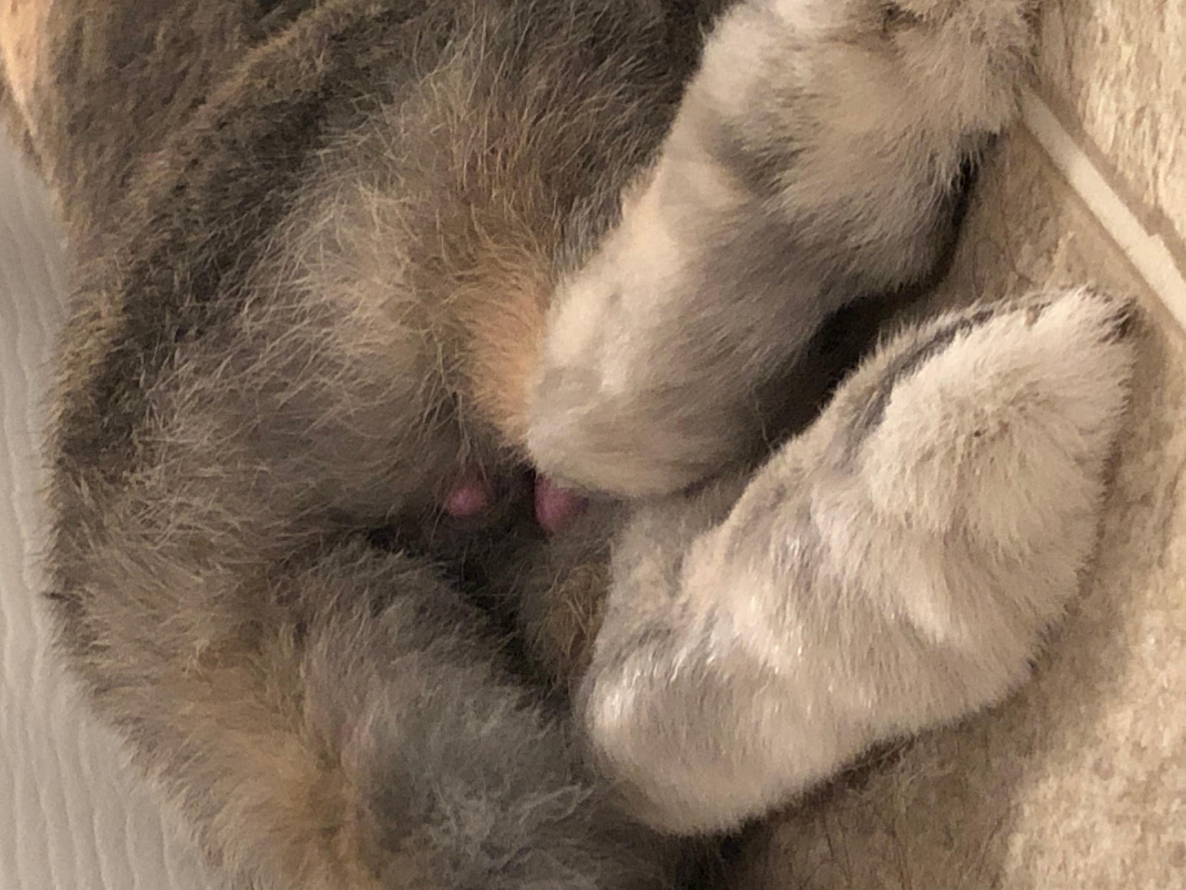 Question details sensitive content