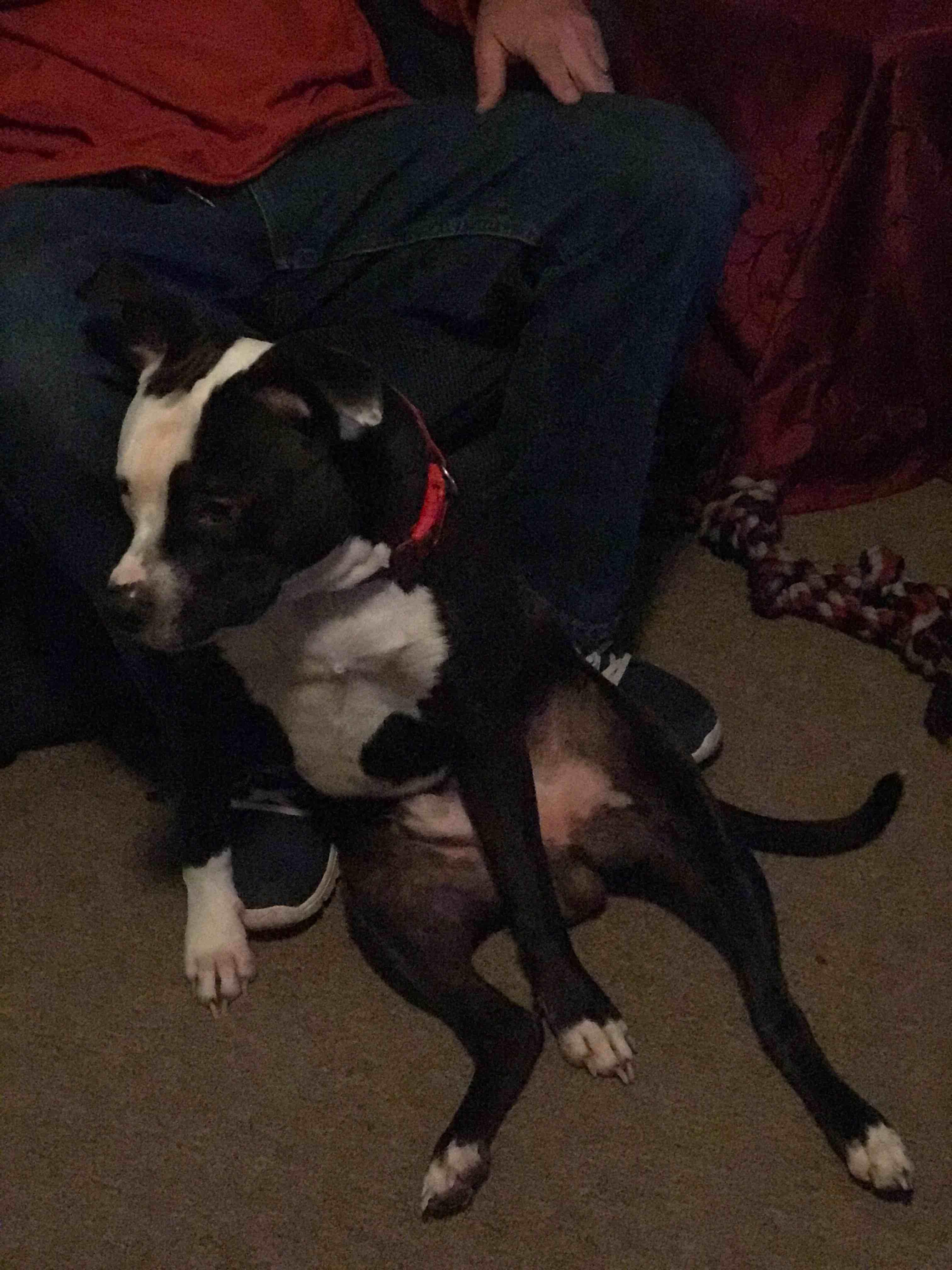 Question details sensitive content