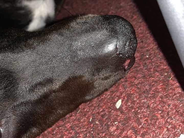 Question details sensitive content