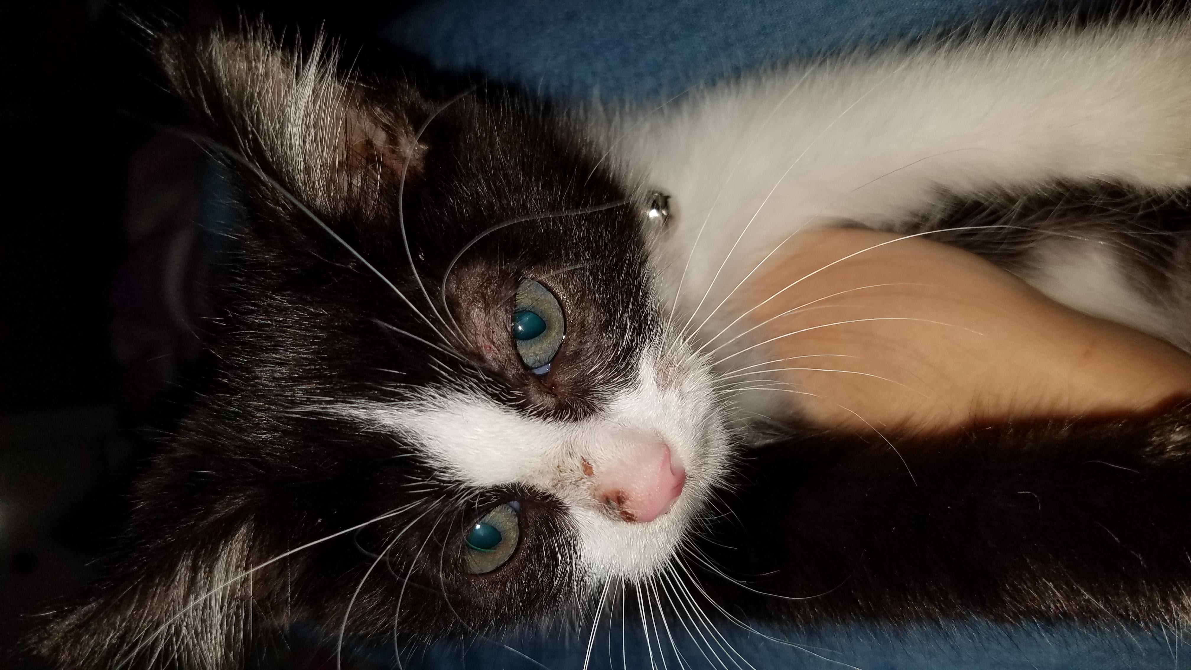 Question details sensitive content